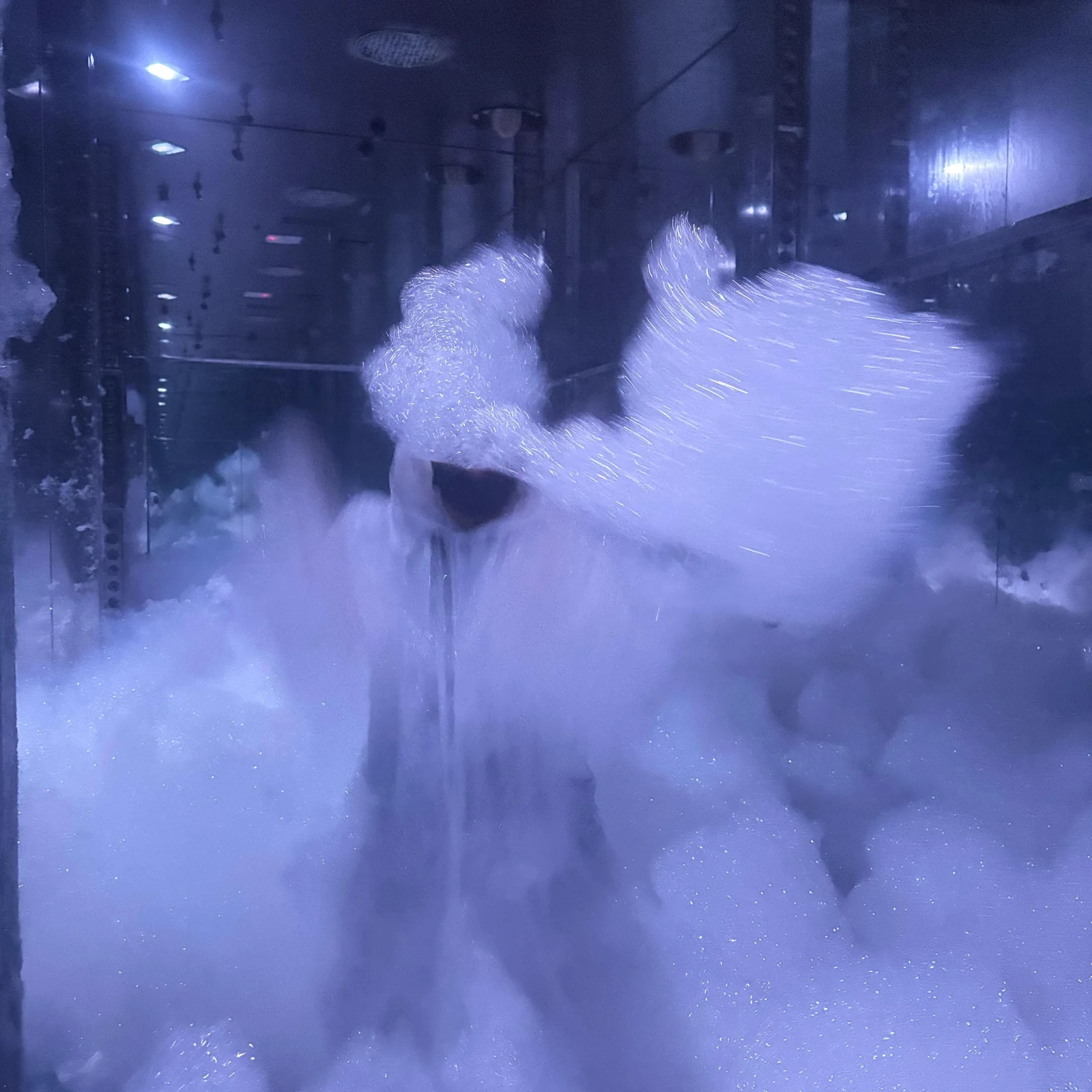 Superblue Miami: immersive Kunst, die auf dich reagiert