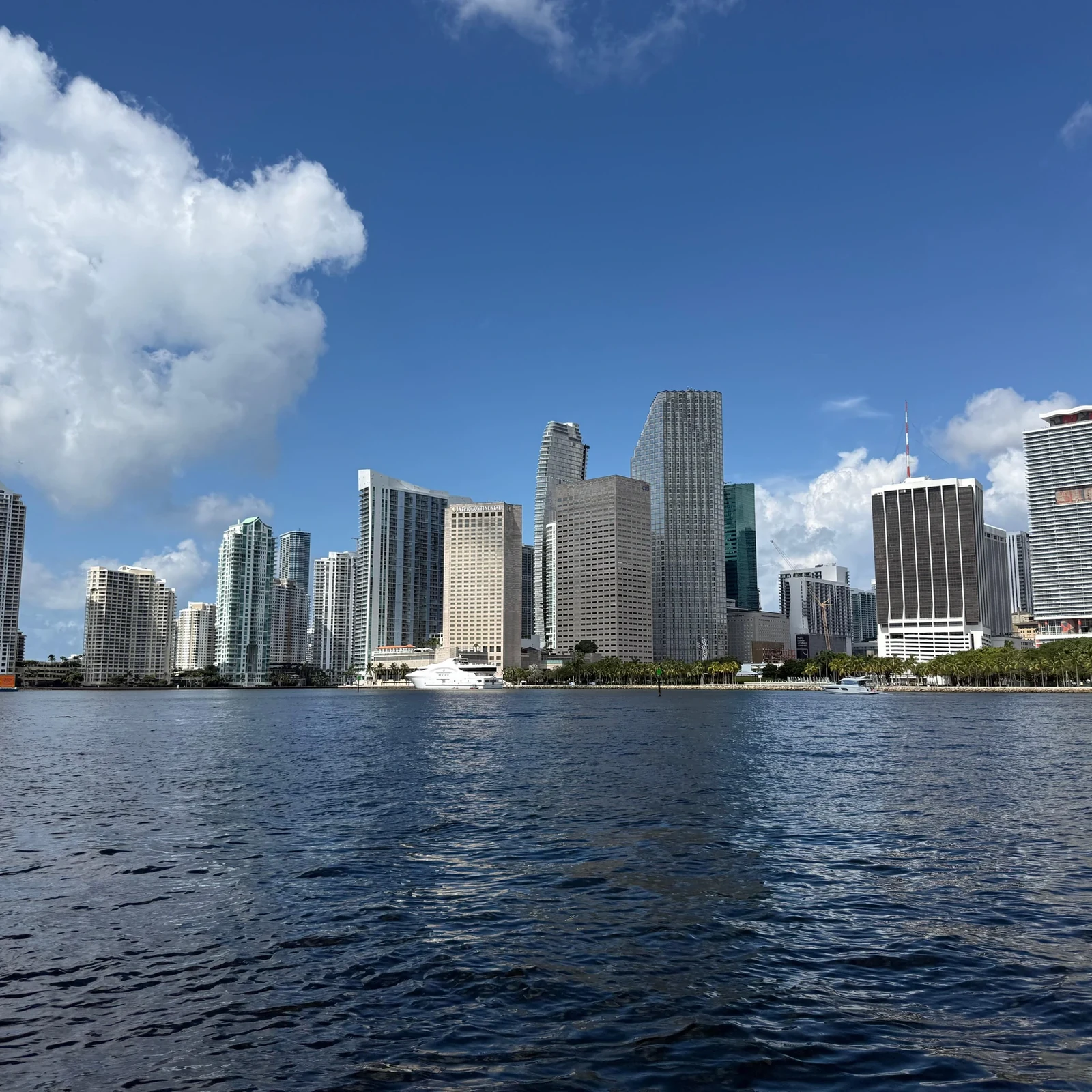 See Miami from the water in 45 minutes of sightseeing and speed