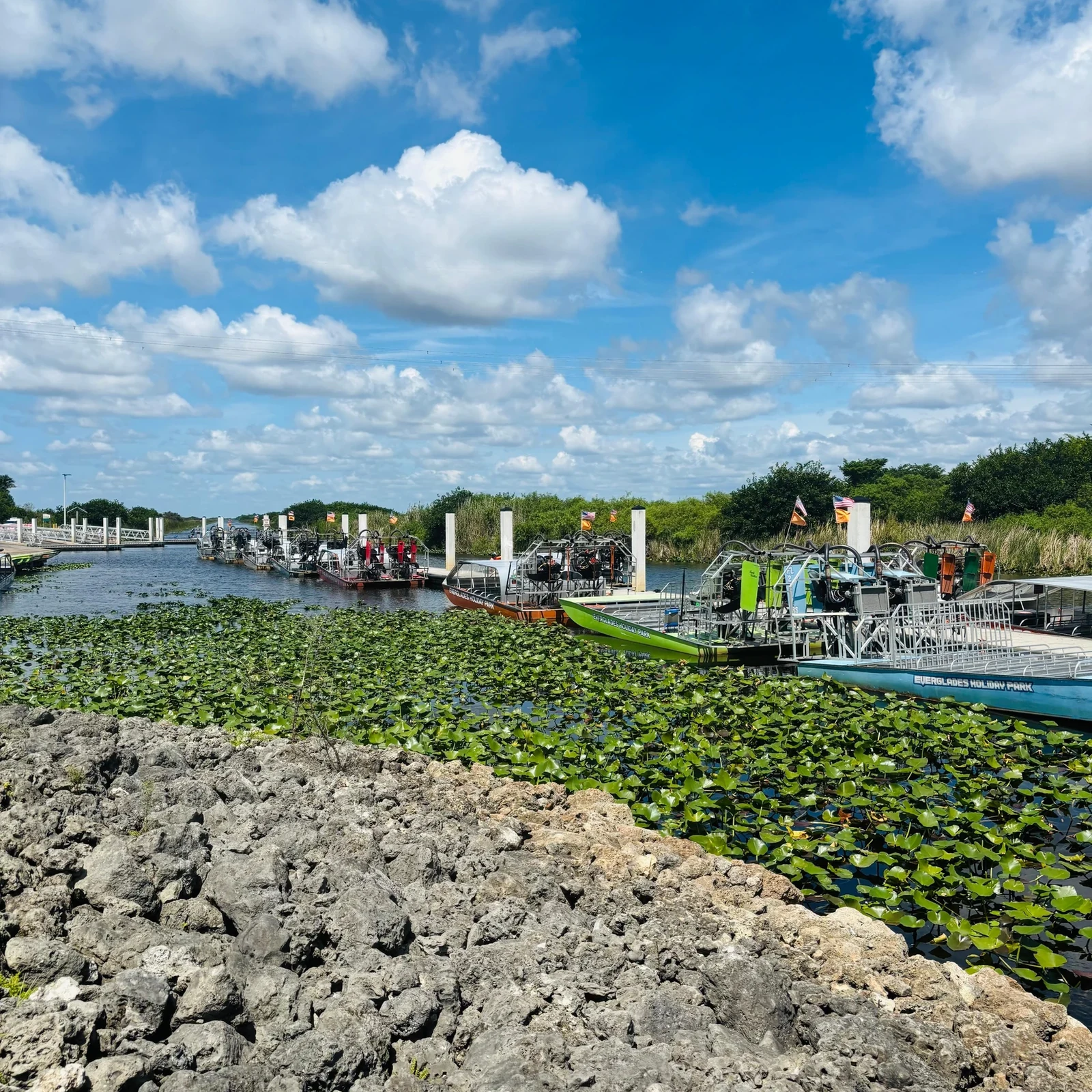 Excursion dans les Everglades depuis Miami en airboat avec transport inclus
