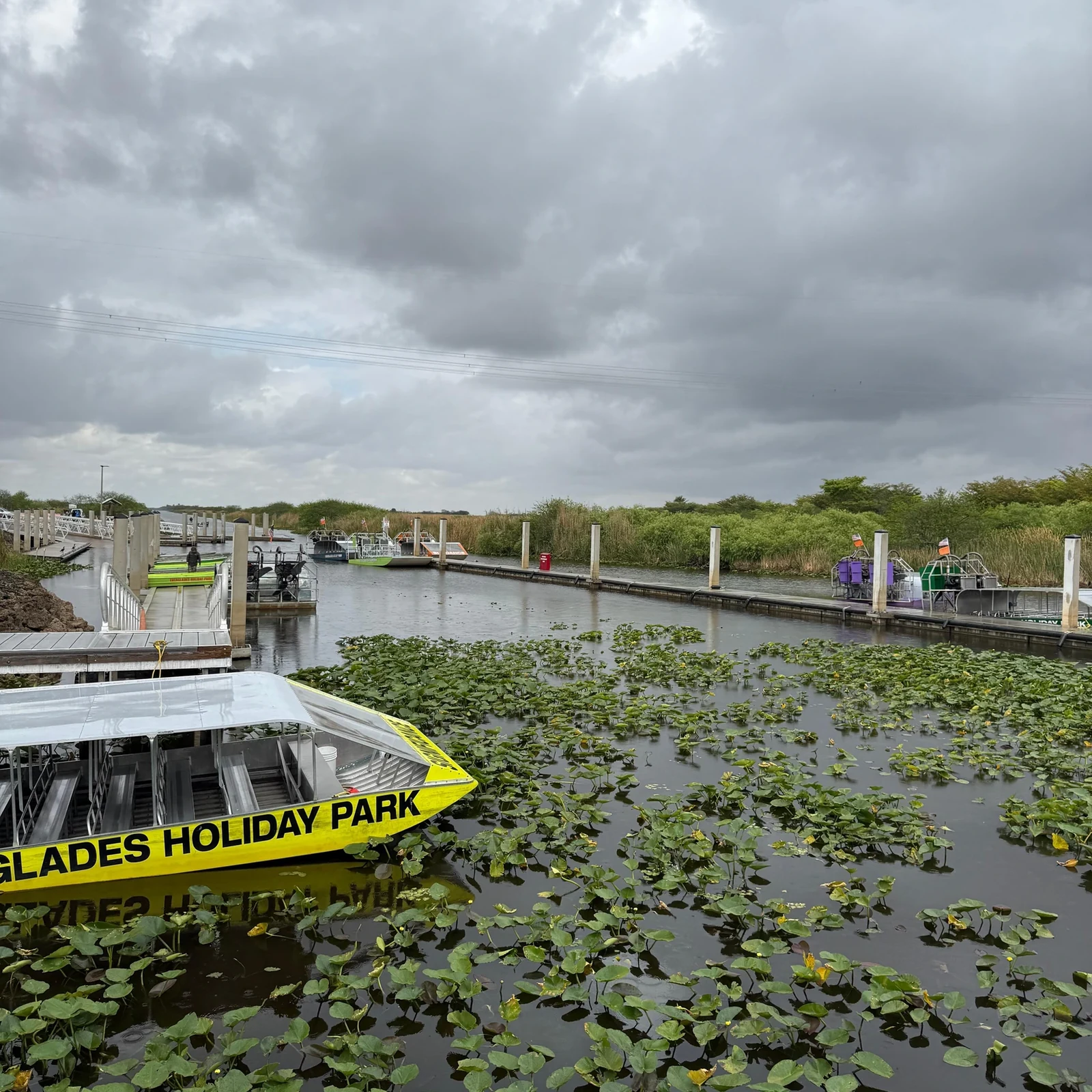 Everglades Airboat Tour ab Miami mit Transfer inklusive