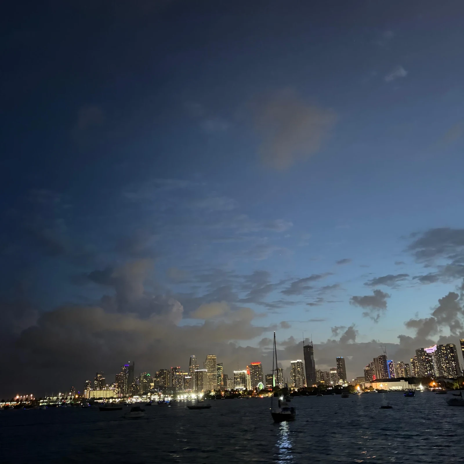 Erlebe Miamis Skyline und Villengegenden von der Biscayne Bay aus