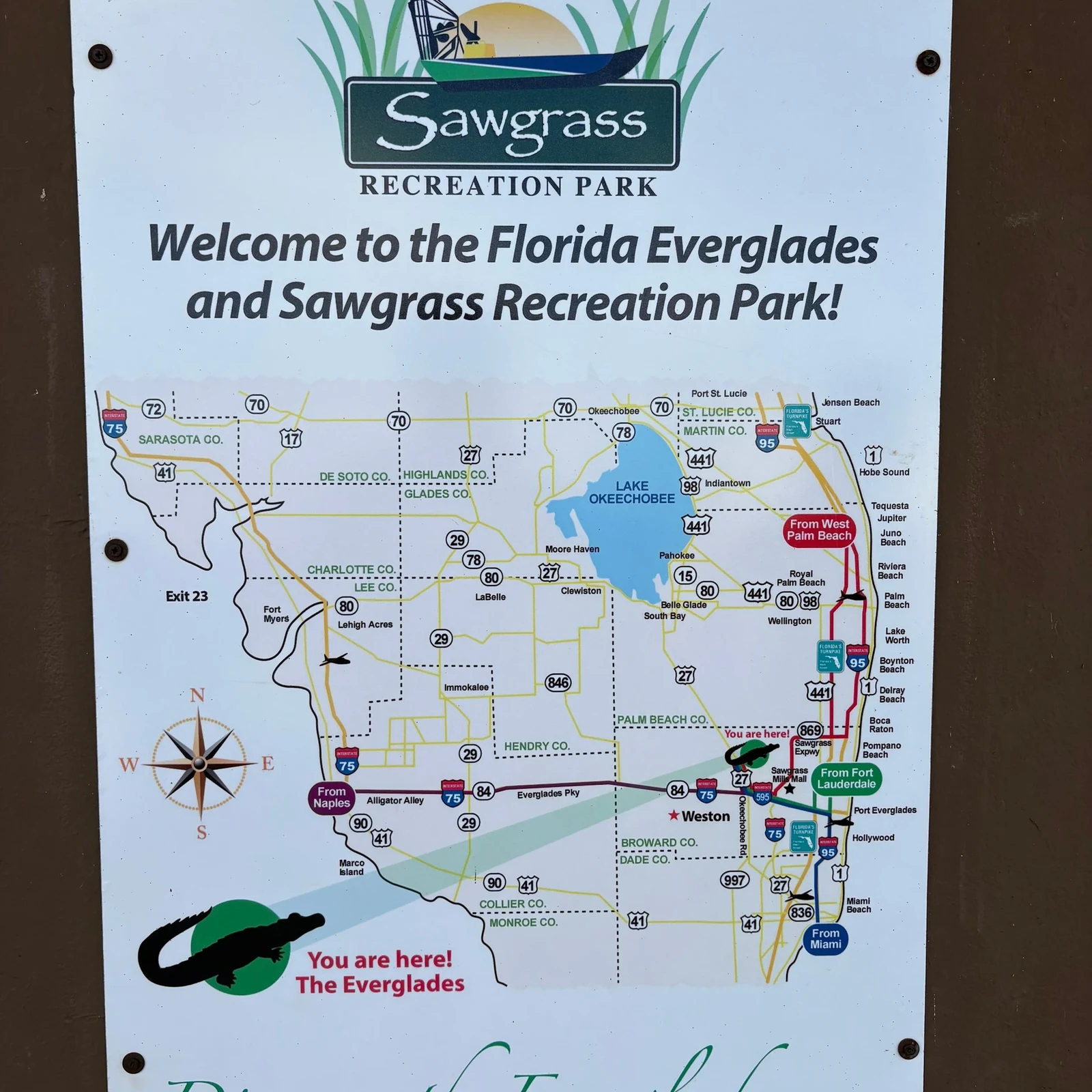 Everglades im Sawgrass Park per Airboat