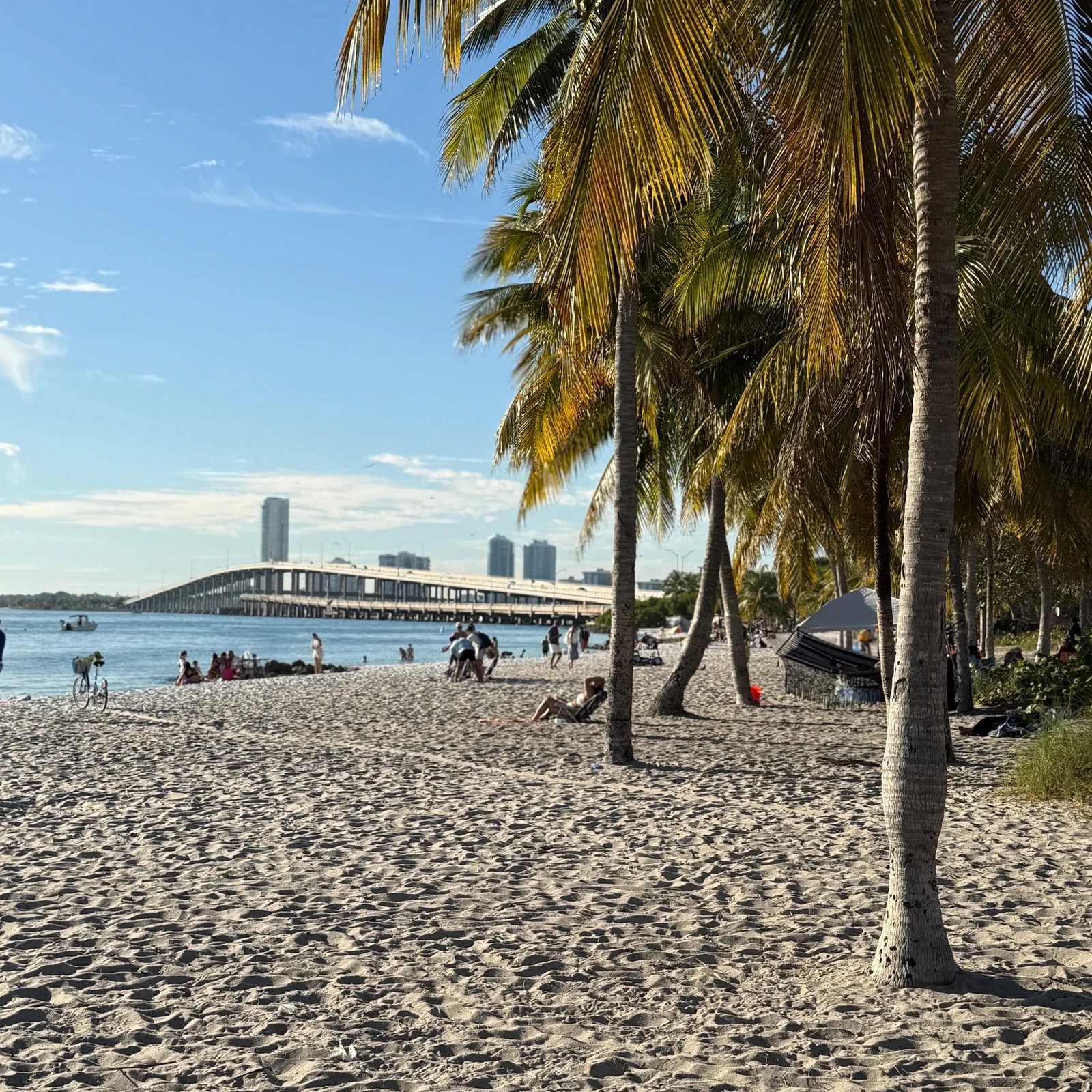 Découvrez les quartiers emblématiques de Miami en 3 h 30