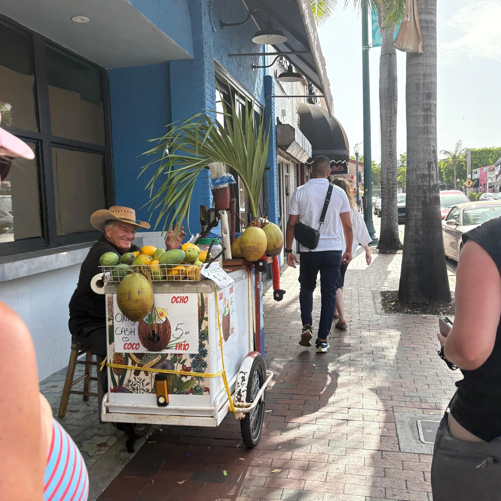 Découvrez les quartiers emblématiques de Miami en 3 h 30