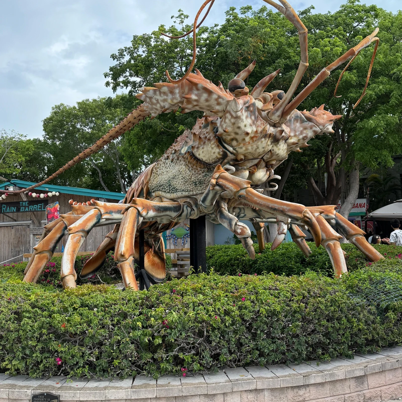 Von Miami nach Key West mit dem Bus: 5–6 Stunden zur freien Verfügung