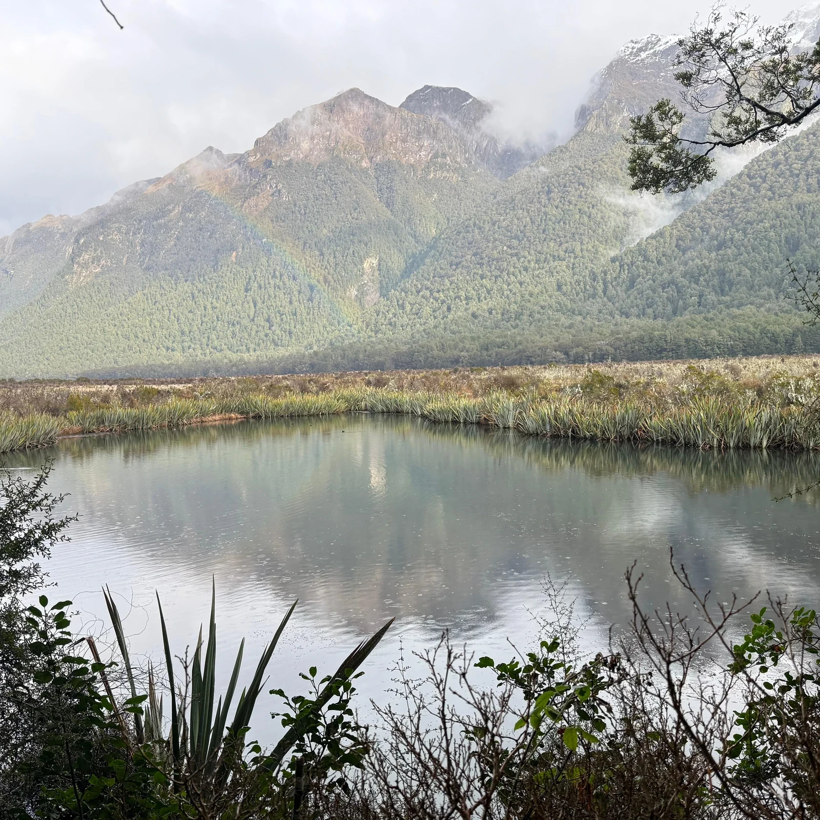 Milford Sound Tour from Queenstown: Cruise & Glass-Roof Coach