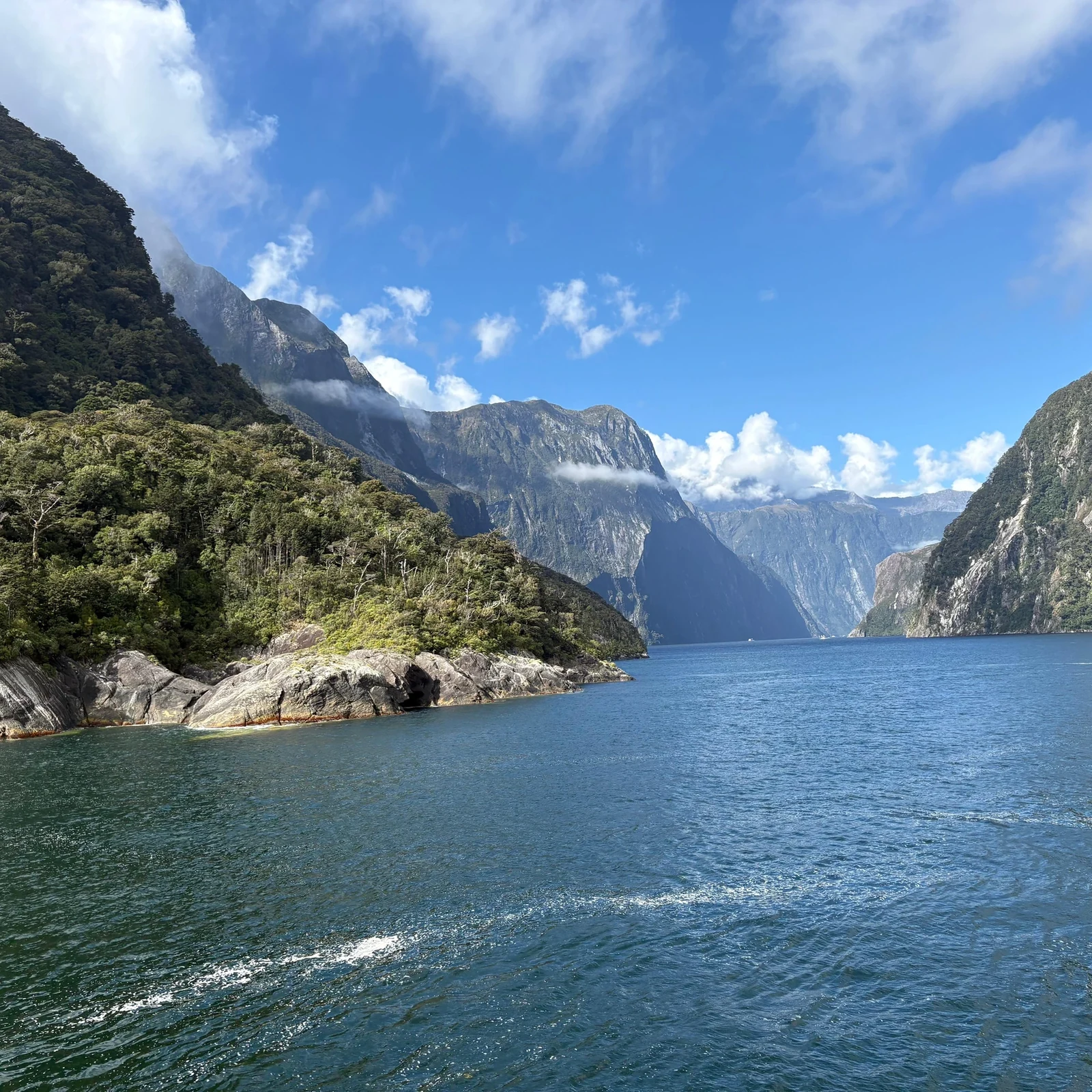 Milford Sound Tour from Queenstown with Scenic Coach & Cruise