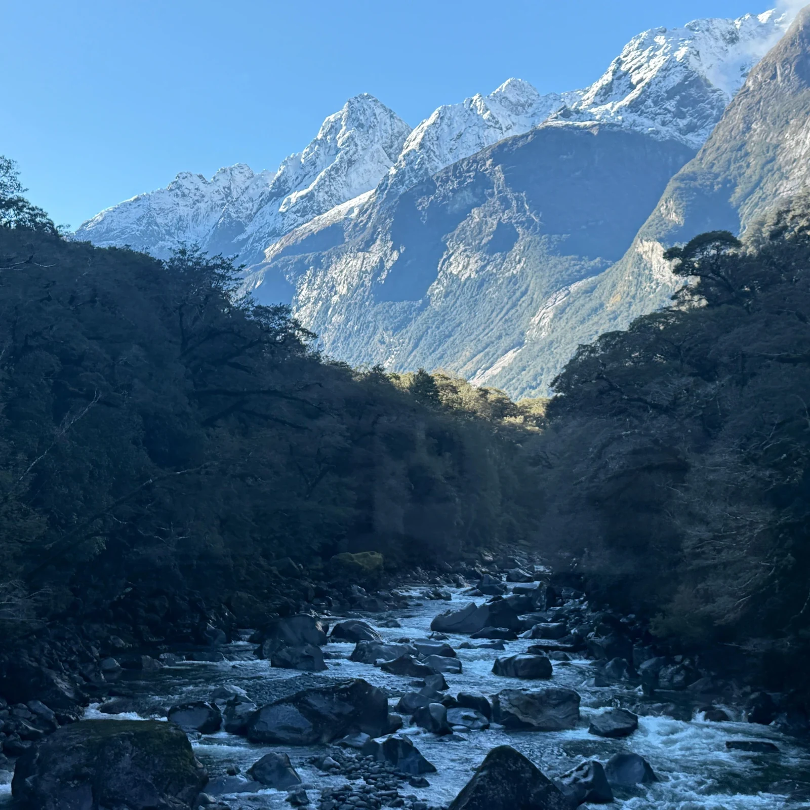 Milford Sound Tour from Queenstown with Scenic Coach & Cruise