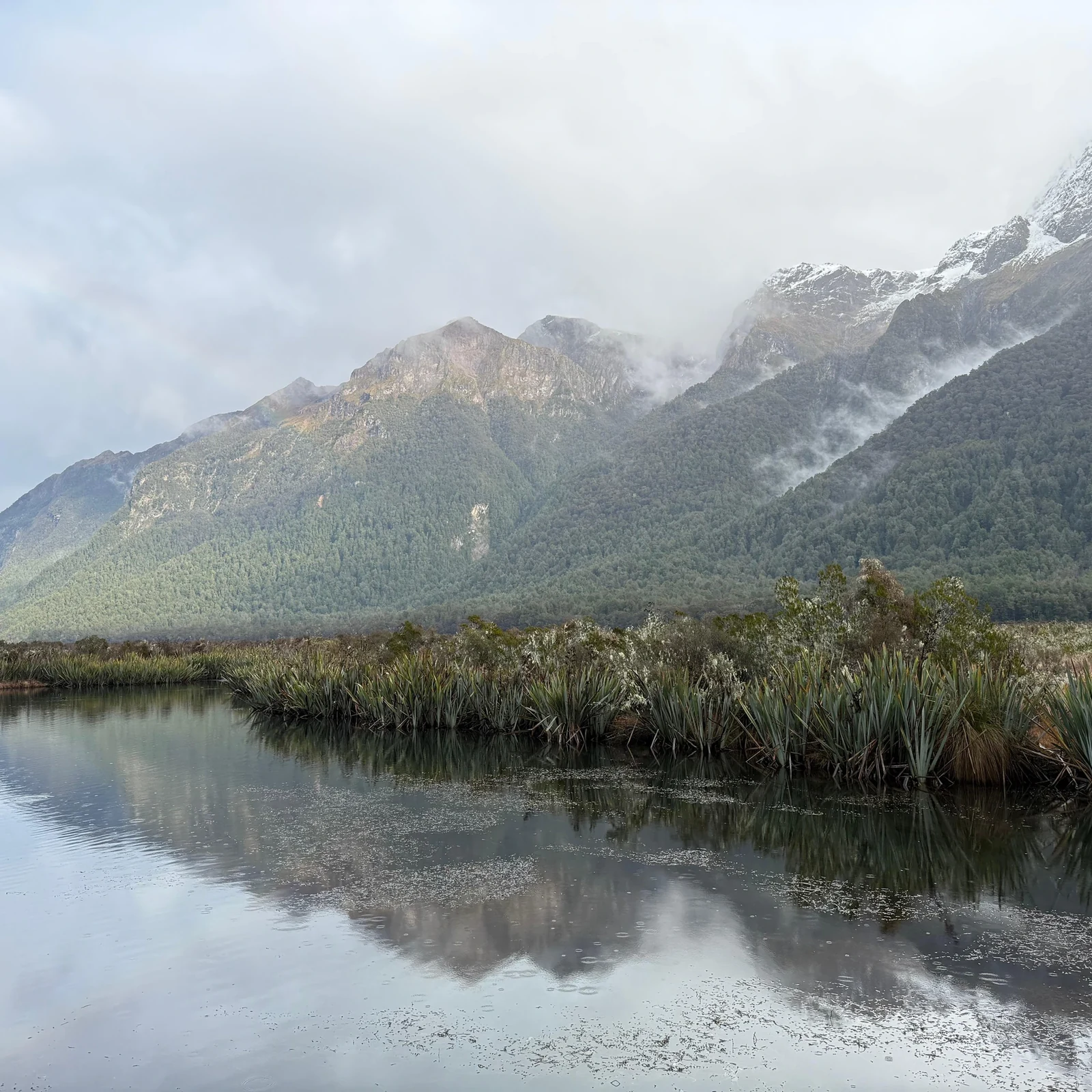 Milford Sound Tour from Queenstown with Scenic Coach & Cruise