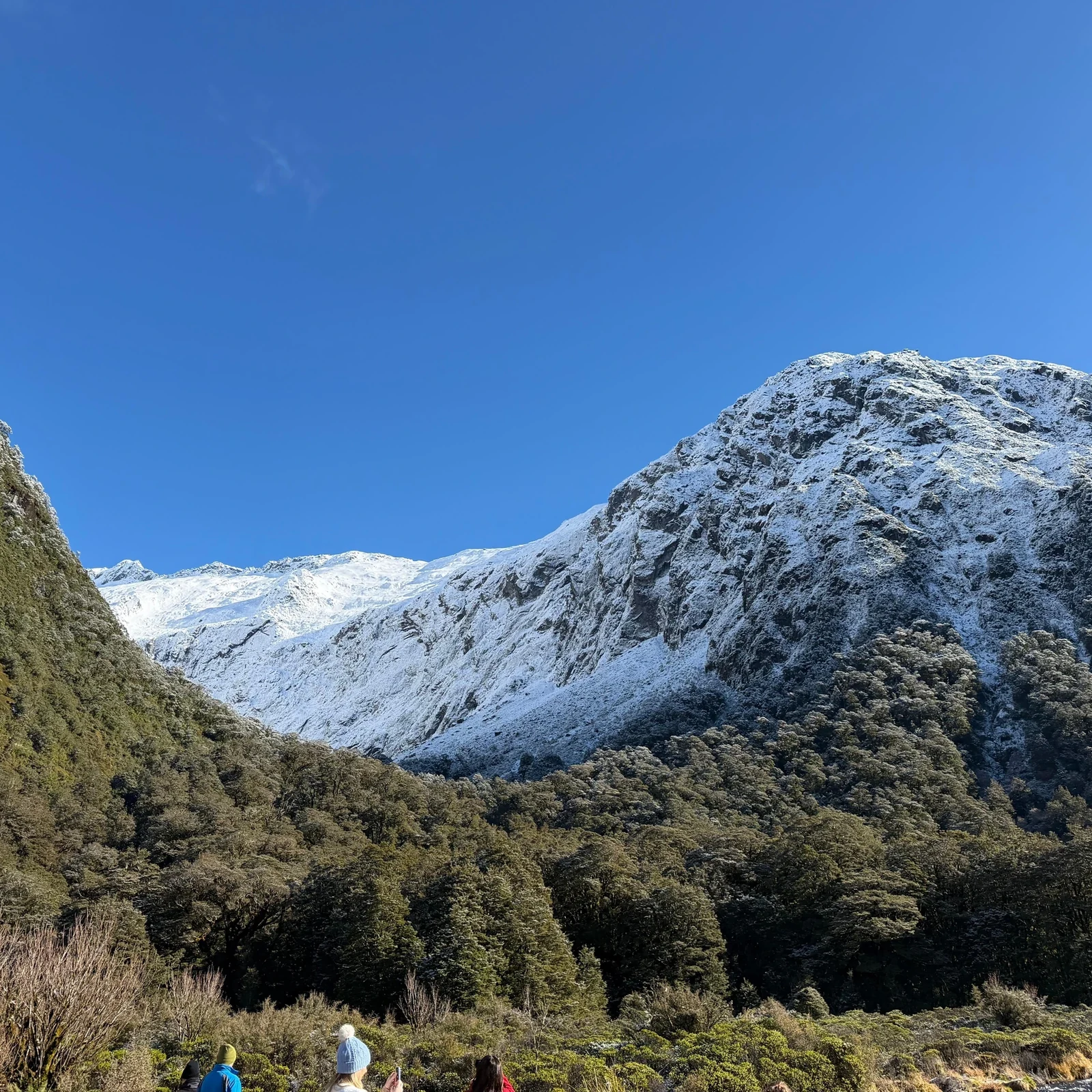 Milford Sound tour from Queenstown without driving
