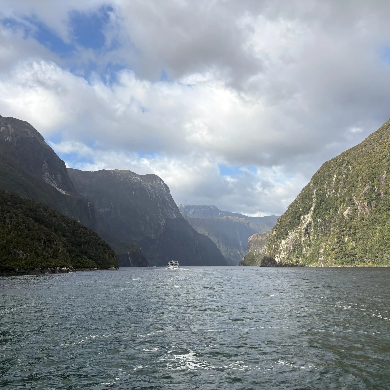 Milford Sound tour from Queenstown without driving