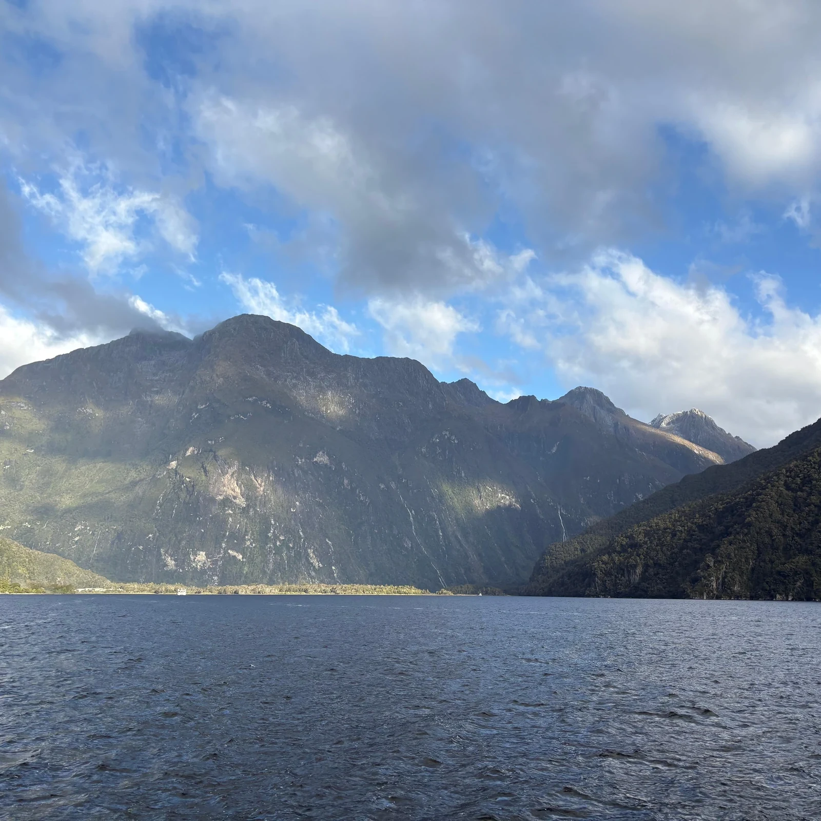 Milford Sound tour from Queenstown without driving
