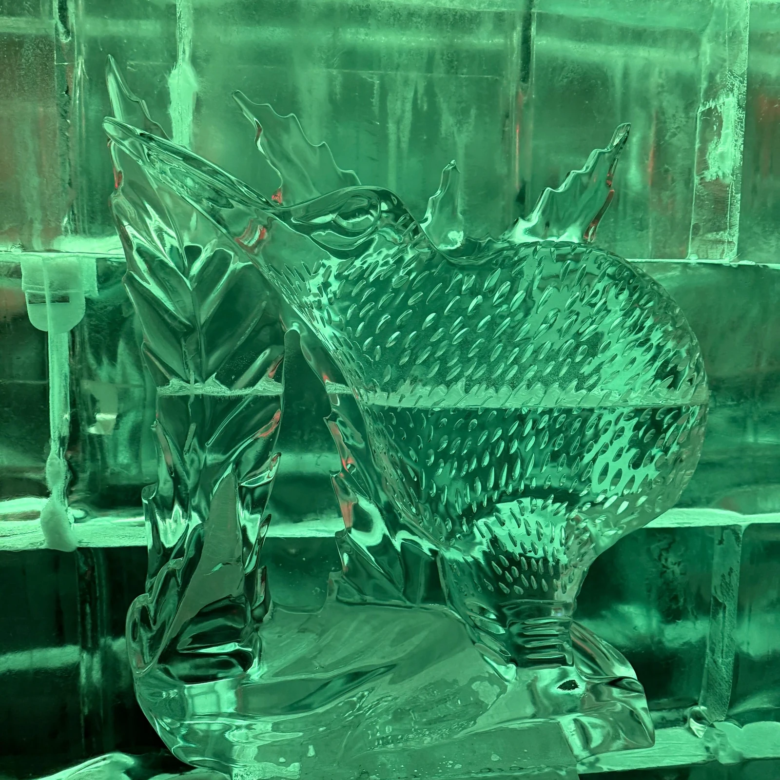 Minus 5 ICE BAR Queenstown with 2 drinks included