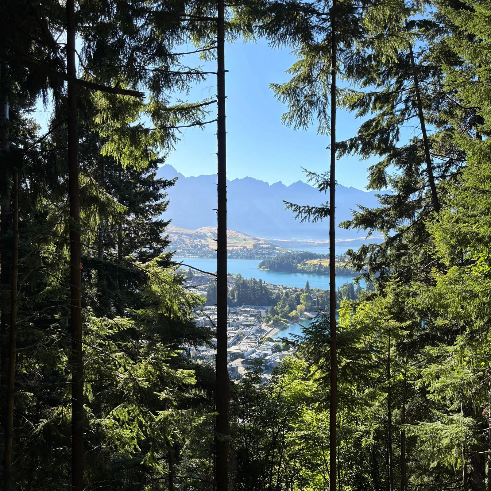 Queenstown Zipline Tour: 2 Hours with 4 Lines