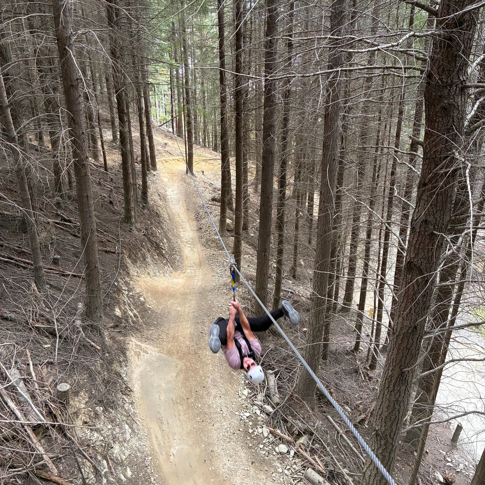 Zipline-Tour in Queenstown: 2 Stunden mit 4 Seilrutschen