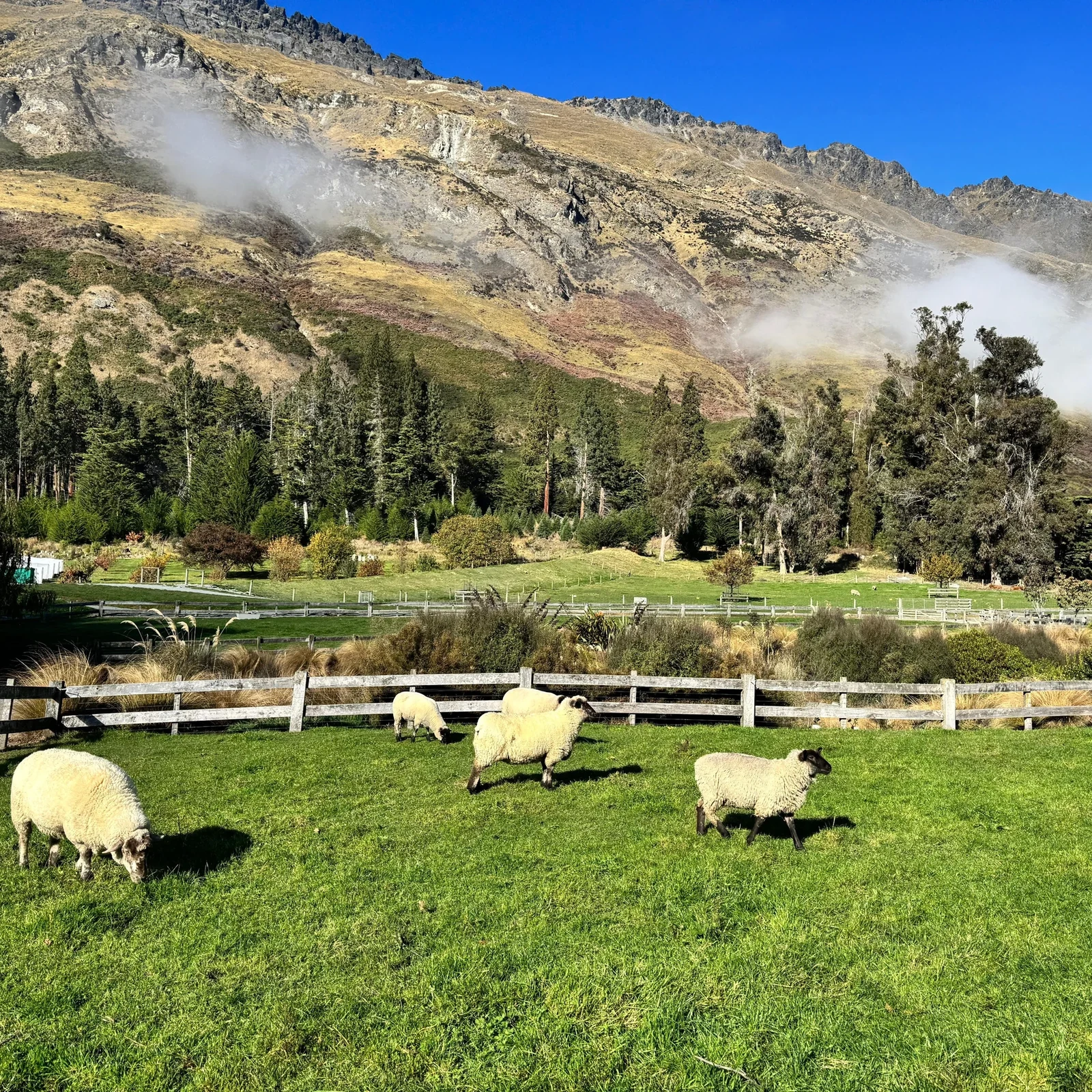 Lake Wakatipu Bootsfahrt und Walter Peak Farm Tour