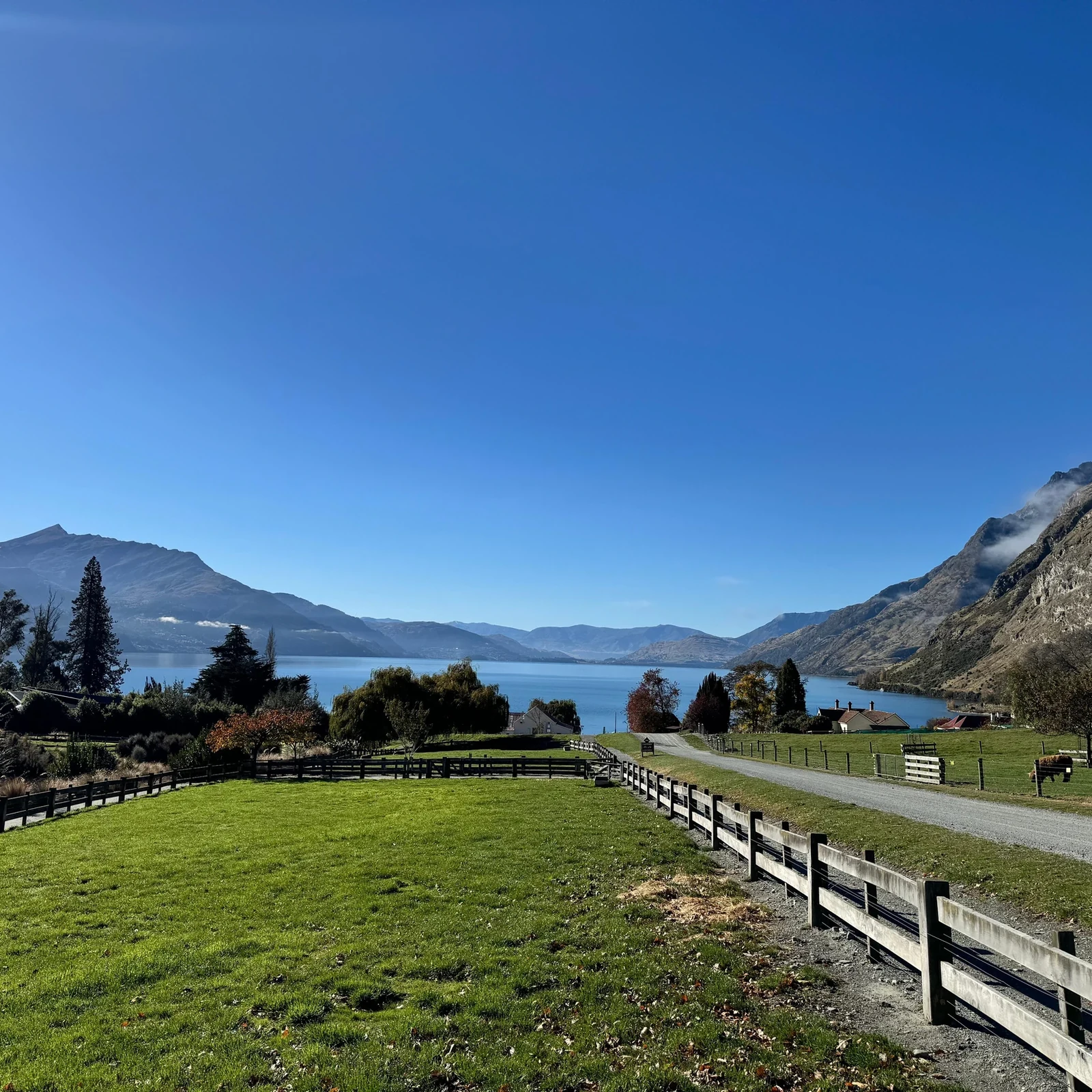 Lake Wakatipu Bootsfahrt und Walter Peak Farm Tour
