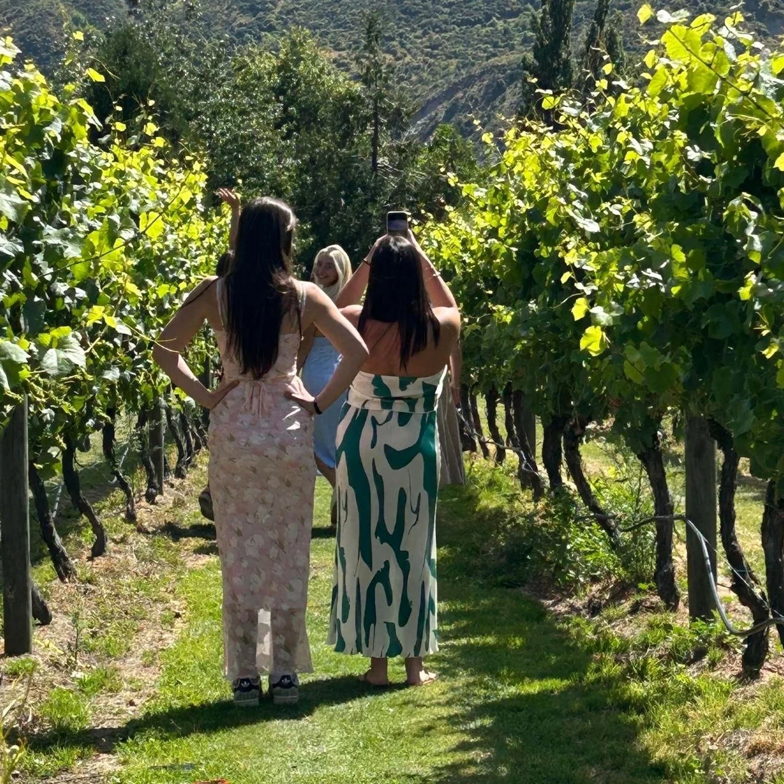 Weintour ab Queenstown nach Bannockburn und Gibbston mit Weinhöhle