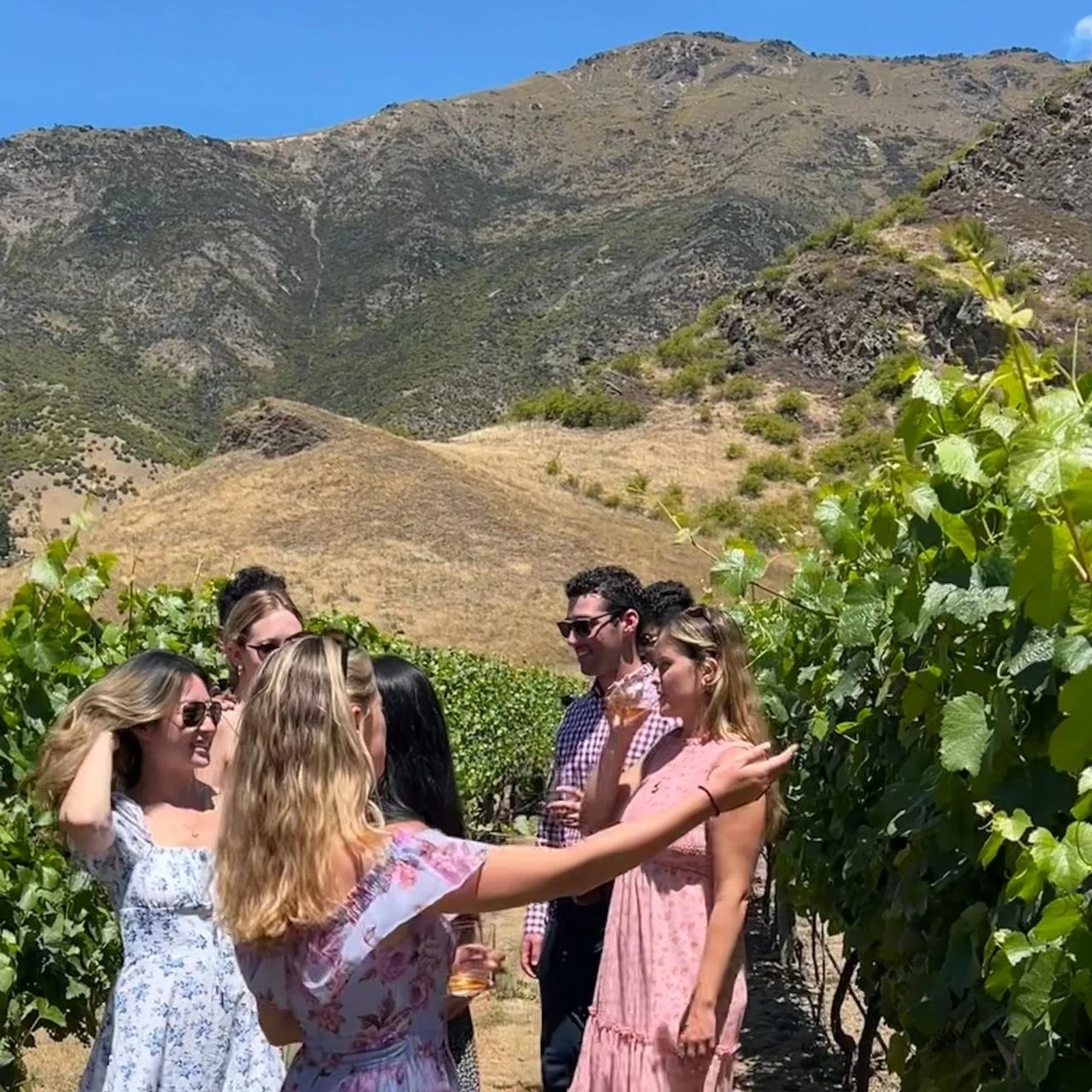 Weintour ab Queenstown nach Bannockburn und Gibbston