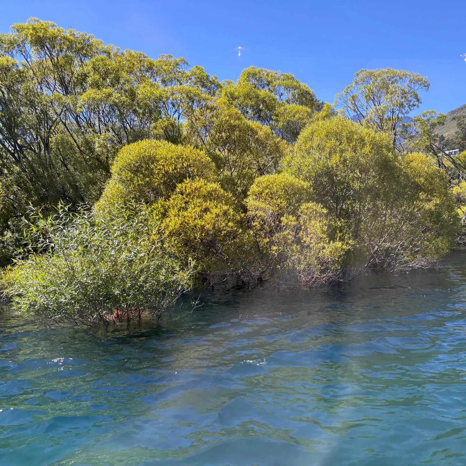 Crucero por el lago Wakatipu en Queenstown con vistas y comentarios en directo