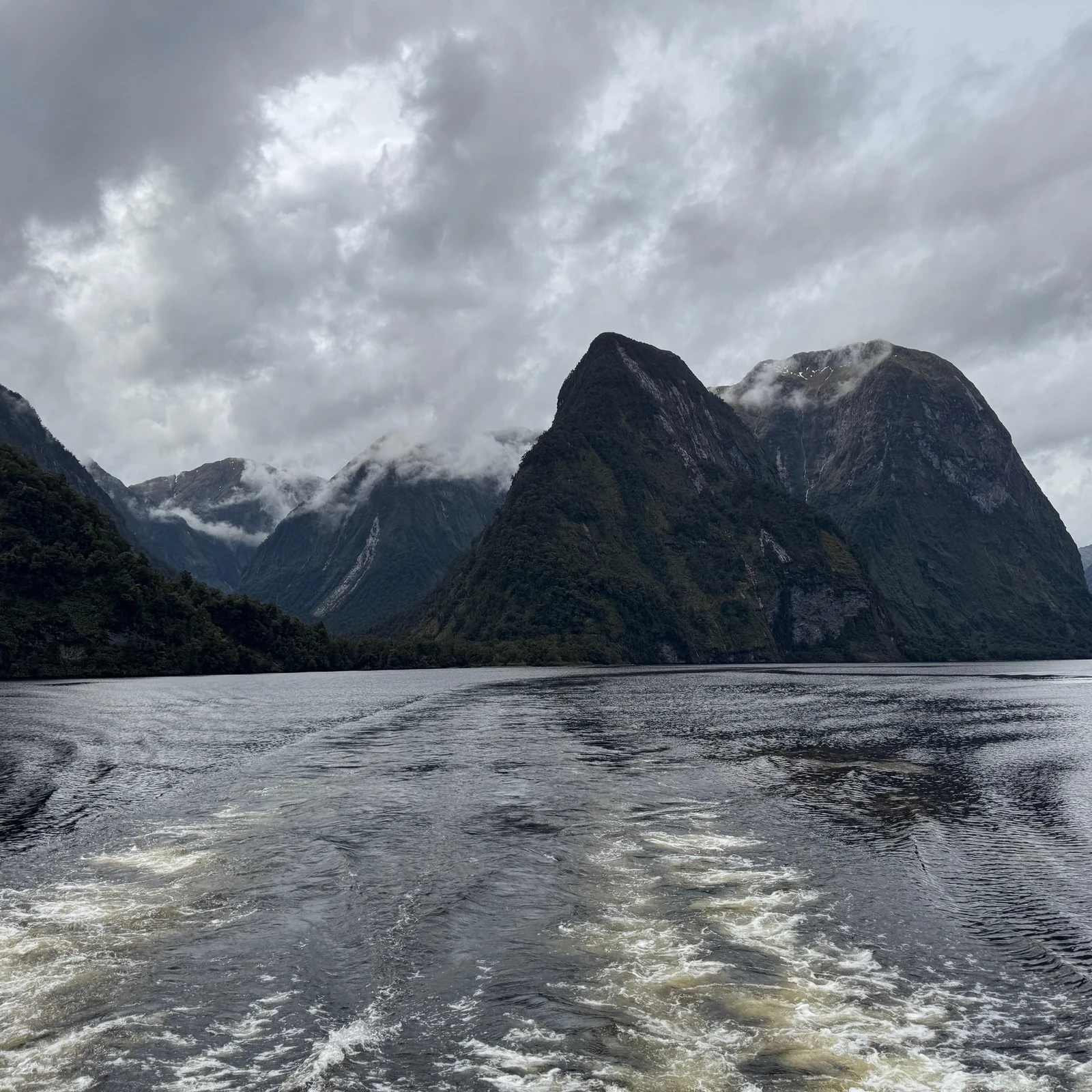 Excursion à Doubtful Sound depuis Queenstown : croisière de 3 heures et guide pratique