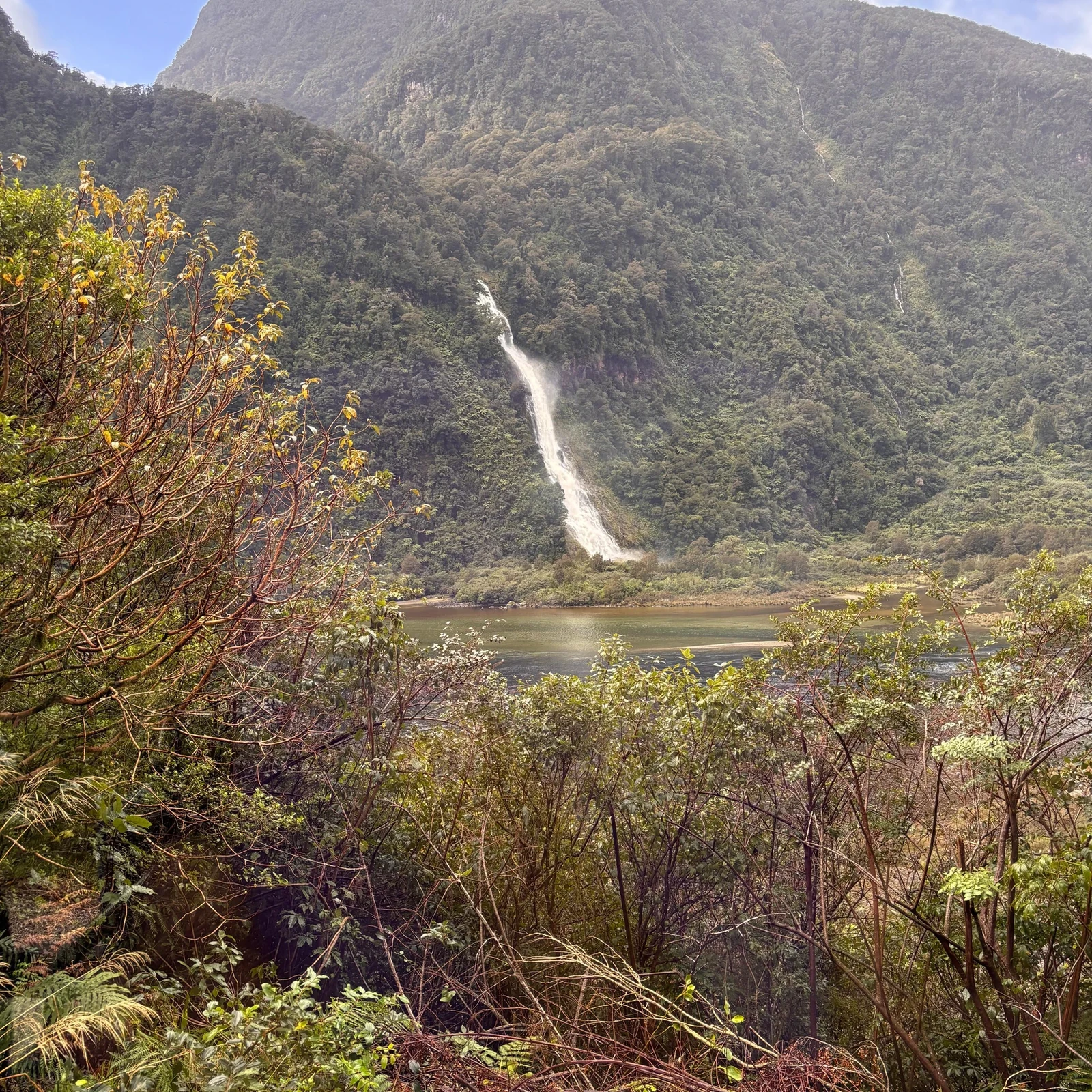 Excursion à Doubtful Sound depuis Queenstown : lac, forêt humide et croisière de 3 heures
