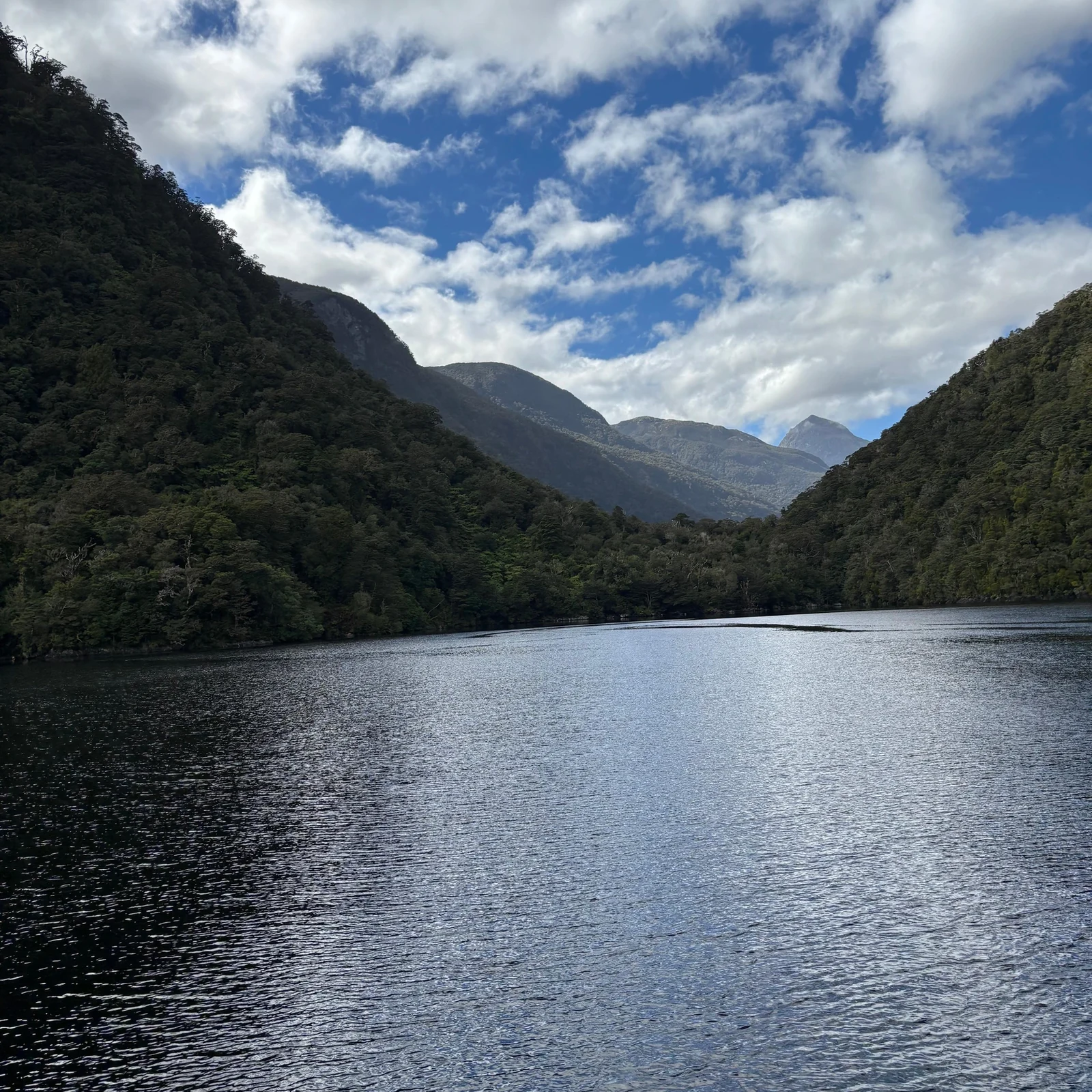 Excursion à Doubtful Sound depuis Queenstown : lac, forêt humide et croisière de 3 heures
