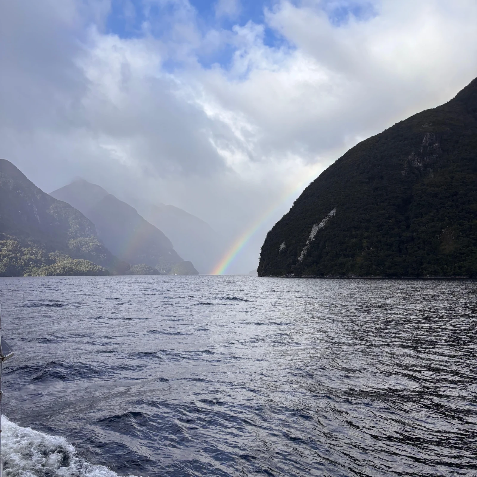 Excursion à Doubtful Sound depuis Queenstown : lac, forêt humide et croisière de 3 heures