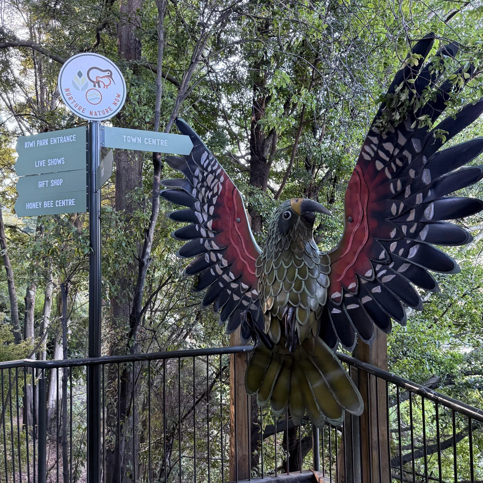 Kiwi Park Queenstown Eintritt: Kiwis aus der Nähe sehen