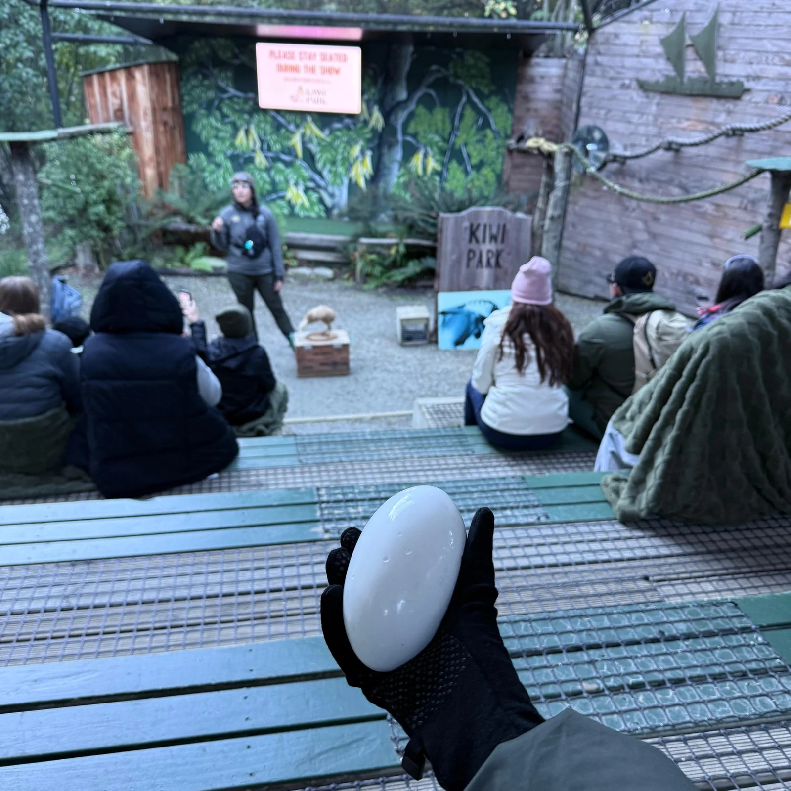 Kiwi Park Queenstown Eintritt: Kiwis aus der Nähe sehen