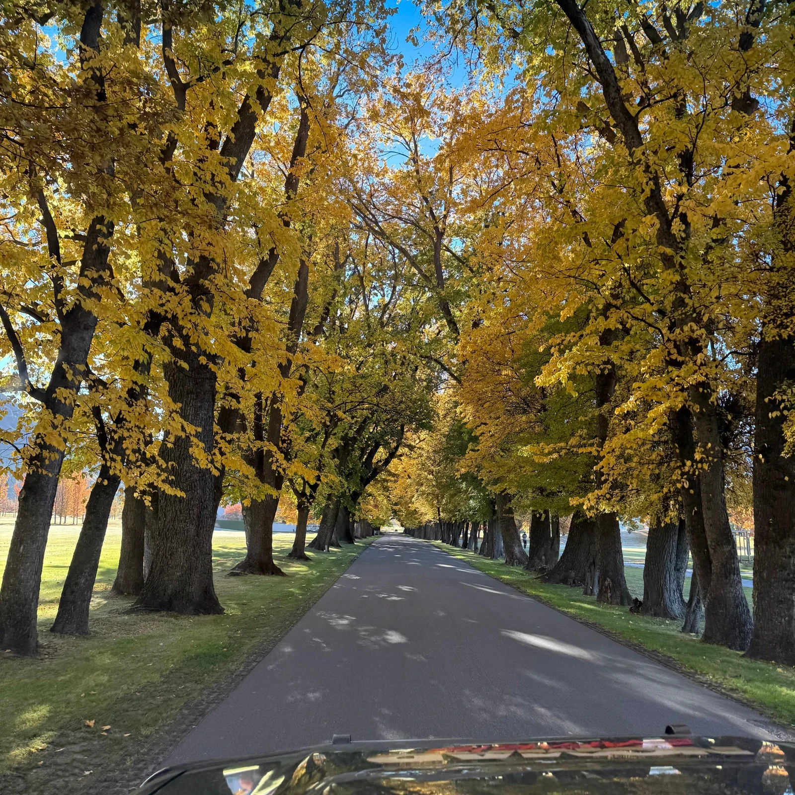 Herr-der-Ringe-4x4-Tour Queenstown: Drehorte, Landschaft und Offroad-Abenteuer