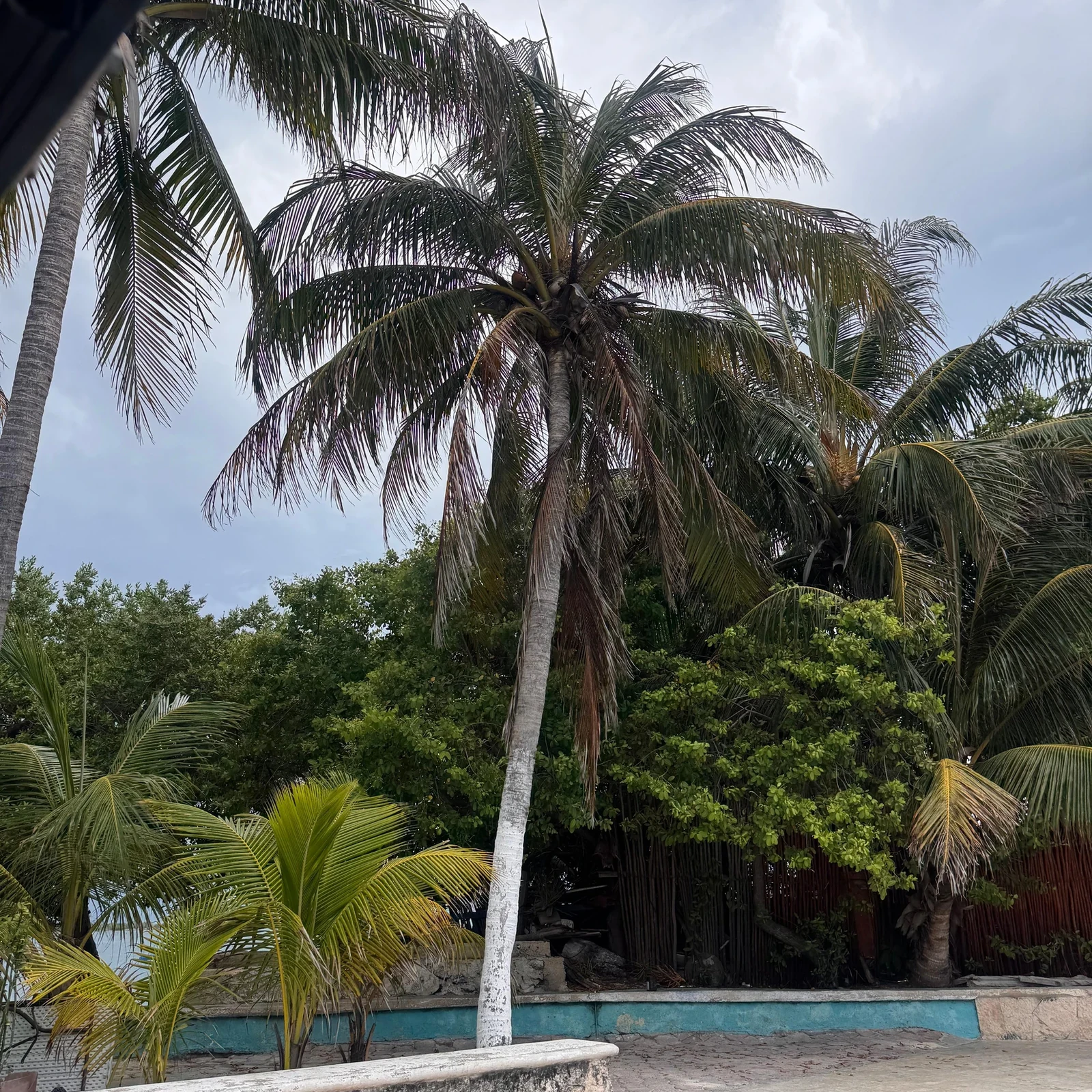 Isla Mujeres Katamaran Tour ab Cancún: Schnorcheln, Playa Norte und Open Bar