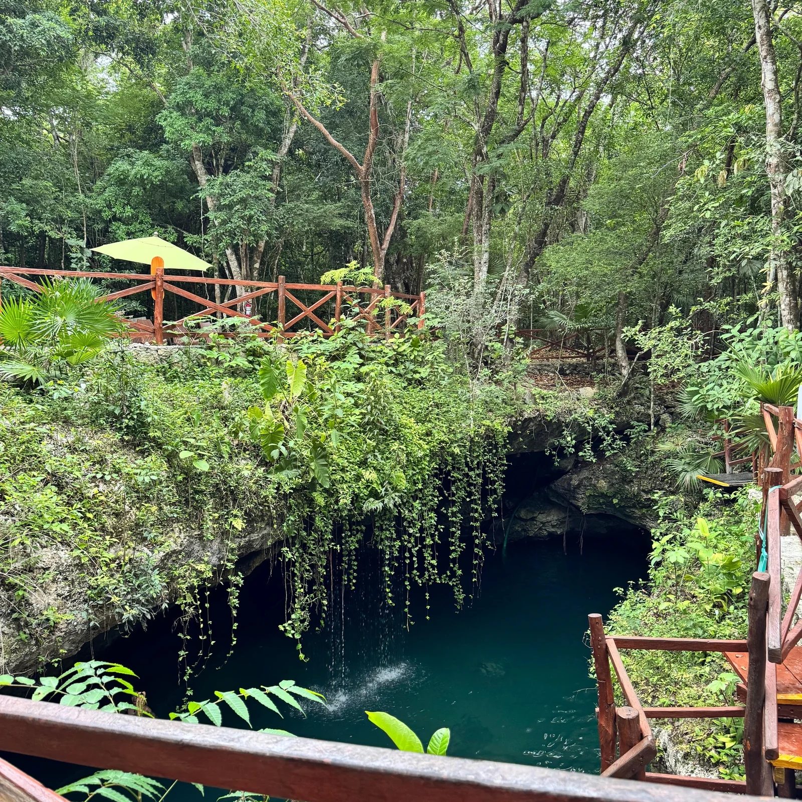 Quad Zipline Cenoten Tour ab Cancún: 3-in-1-Dschungelabenteuer