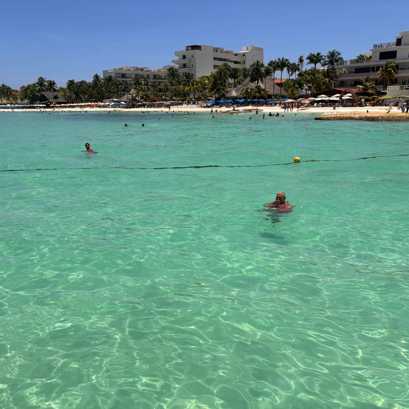 Mit Walhaien in Cancún im offenen Meer schwimmen