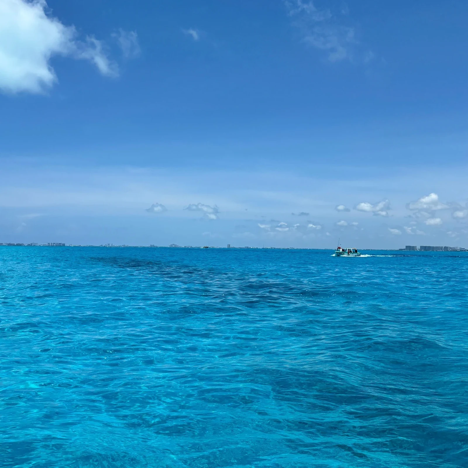 Mit Walhaien in Cancún im offenen Meer schwimmen