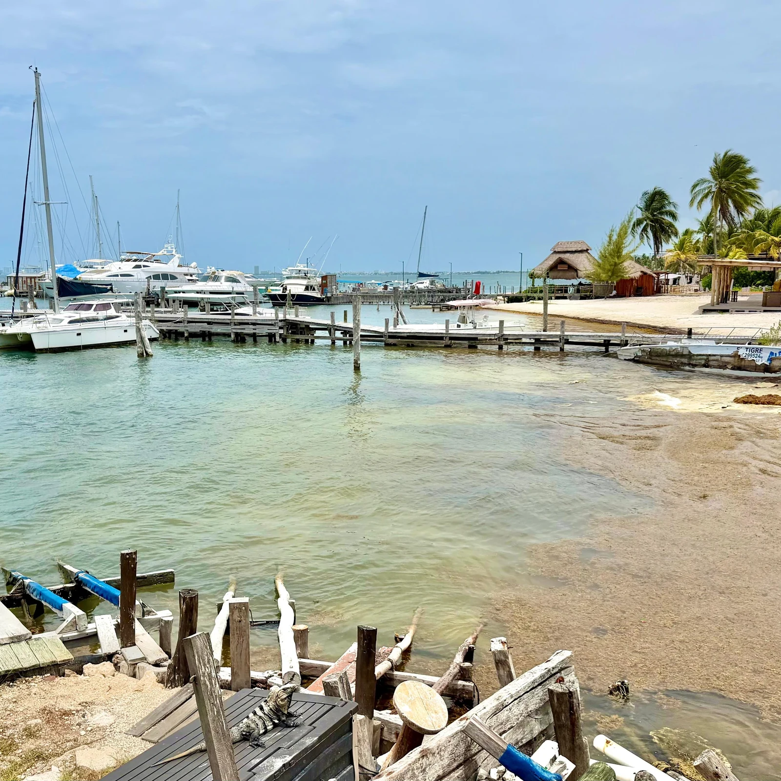 Mit Walhaien in Cancún im offenen Meer schwimmen