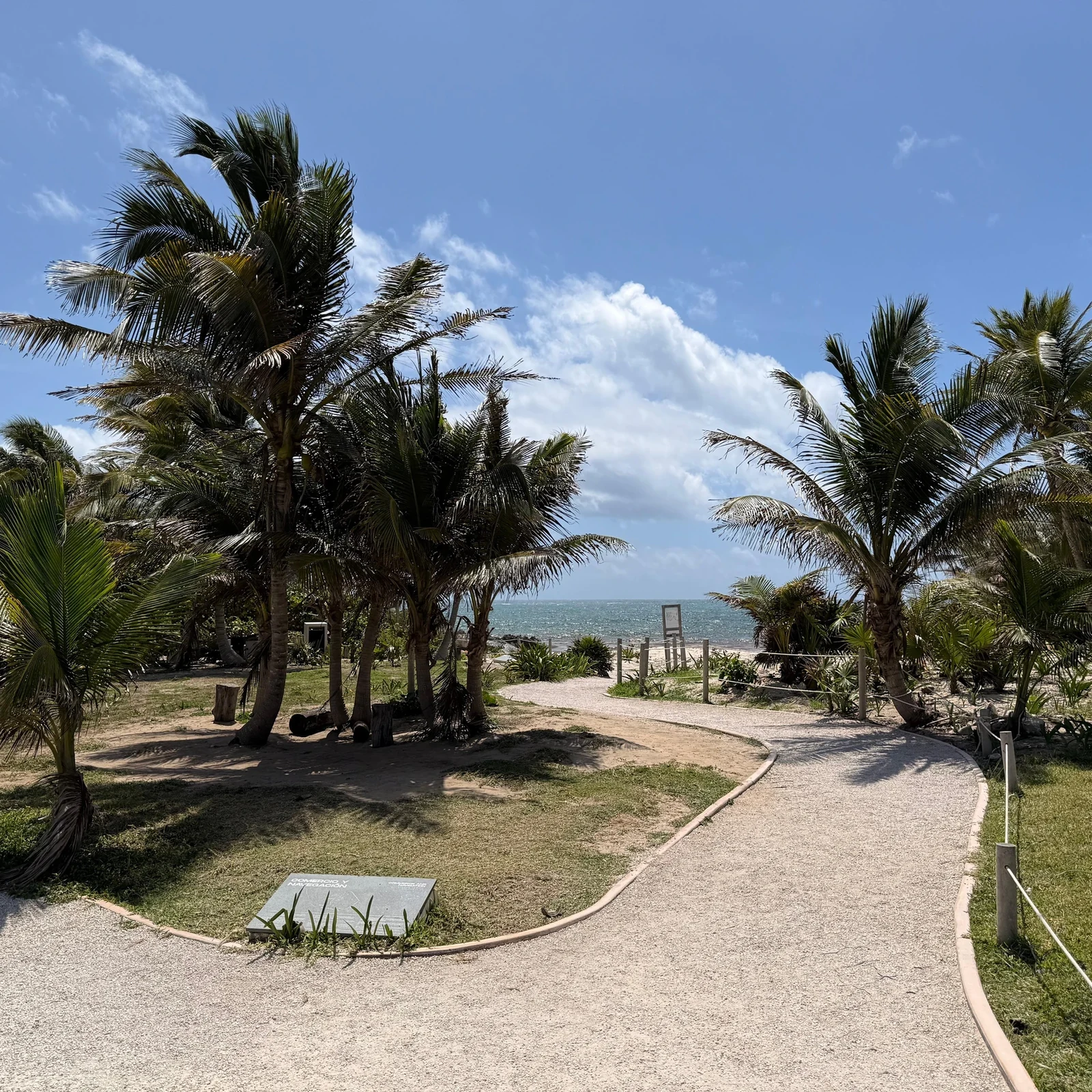 Excursión a Tulum, Cenote Mariposa y Playa del Carmen desde Cancún