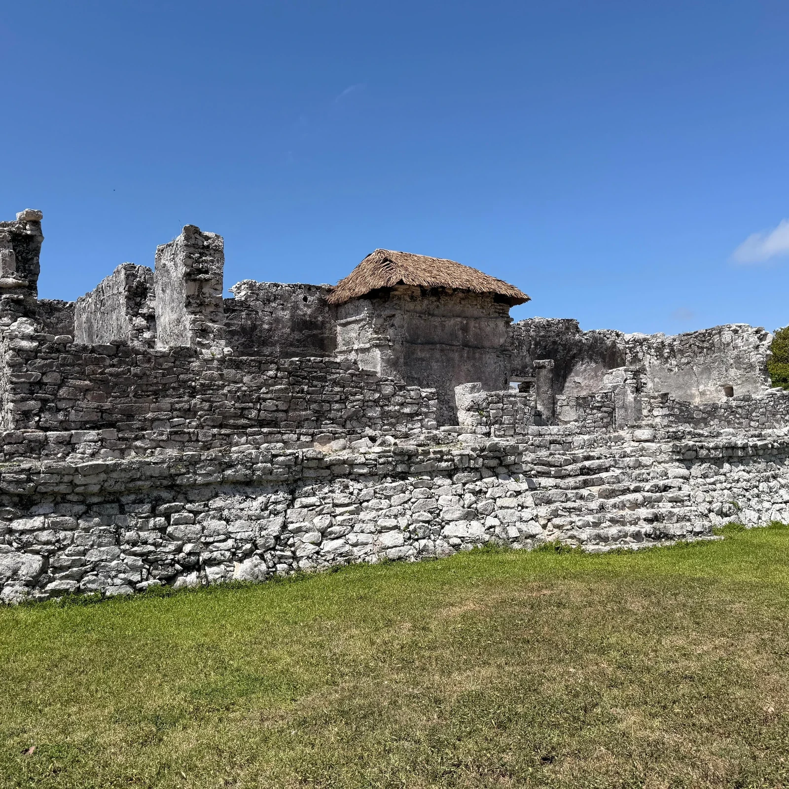 Tulum, Cenote Mariposa et Playa del Carmen depuis Cancún