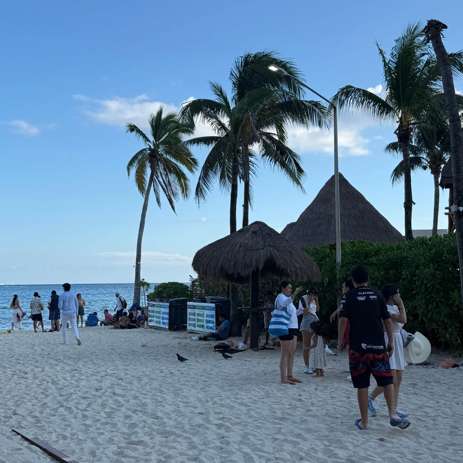 Tulum, Cenote Mariposa et Playa del Carmen depuis Cancún