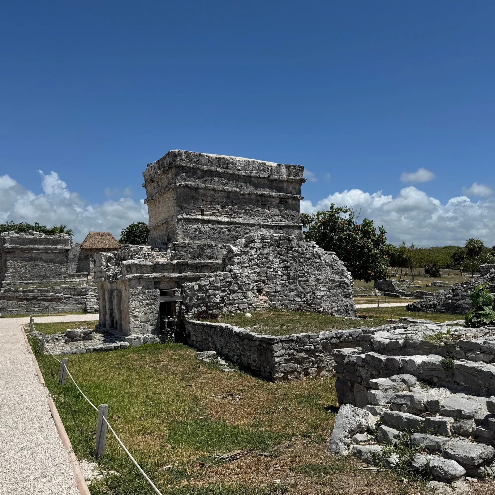 Tulum, Cenote Mariposa et Playa del Carmen depuis Cancún
