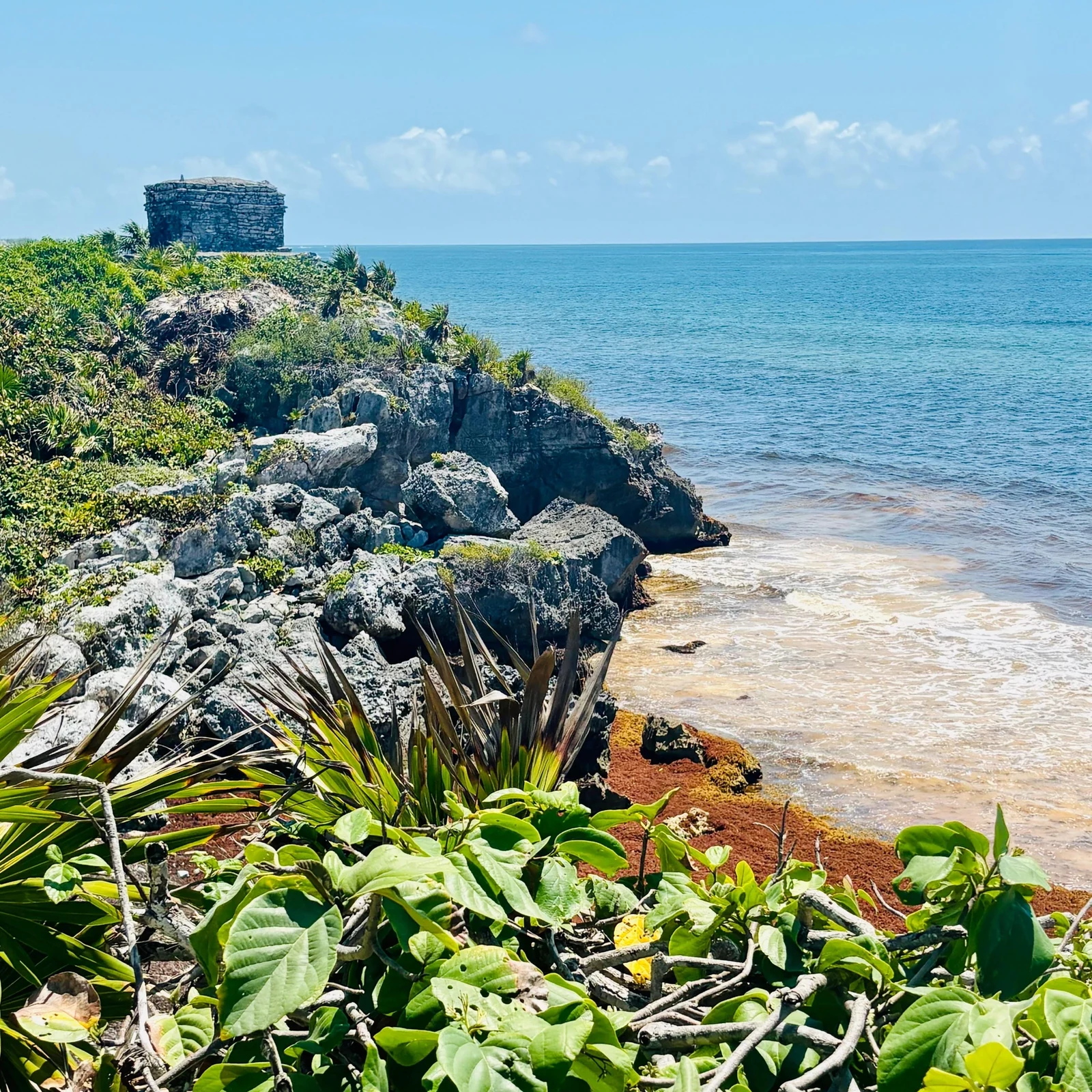 Tulum Cenote Akumal Tour ab Cancún: Ruinen, Cenote und Schildkröten