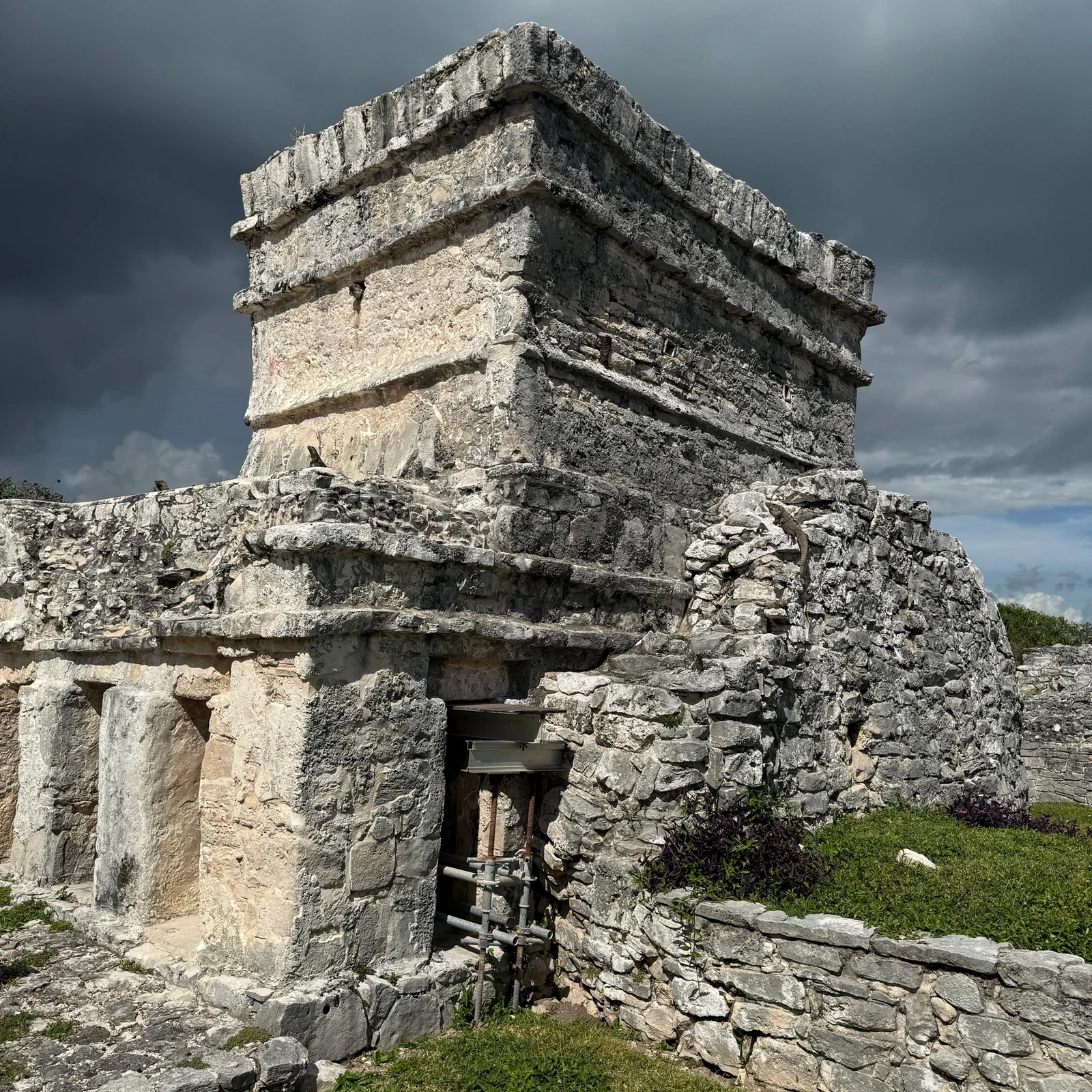 Tulum Cenote Akumal Tour ab Cancún: Ruinen, Cenote und Schildkröten