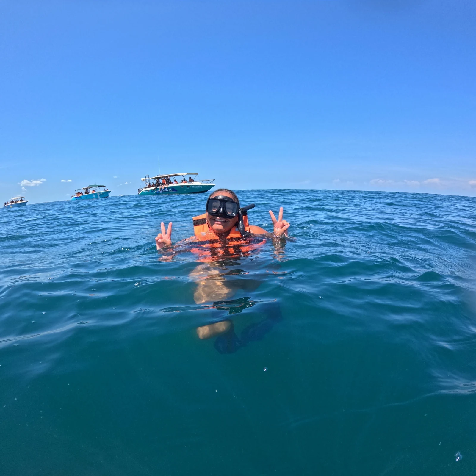 Nager avec les requins-baleines à Cancún et Isla Mujeres