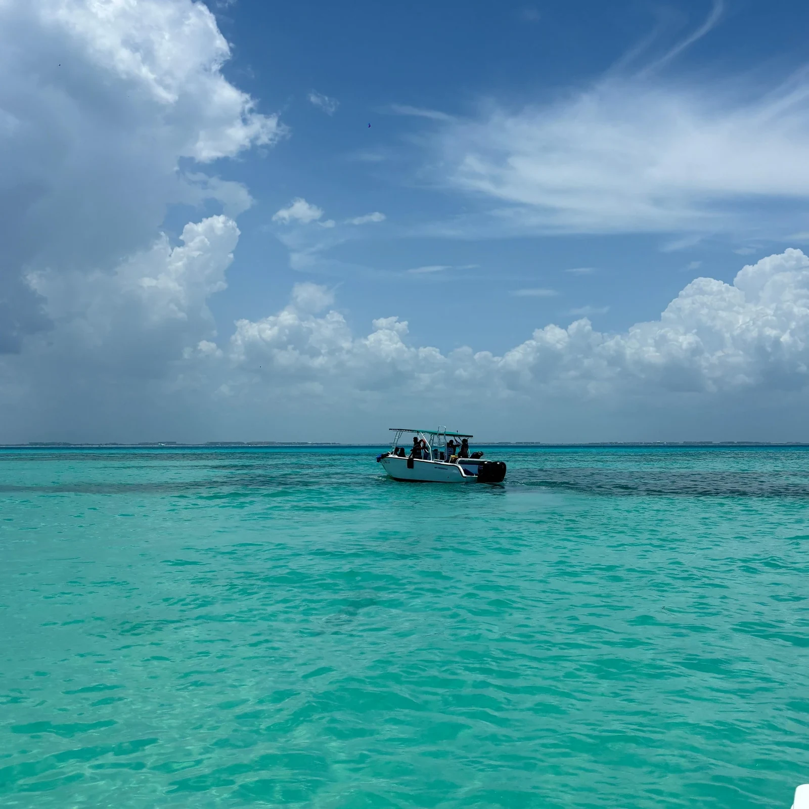 Nager avec les requins-baleines à Cancún et Isla Mujeres