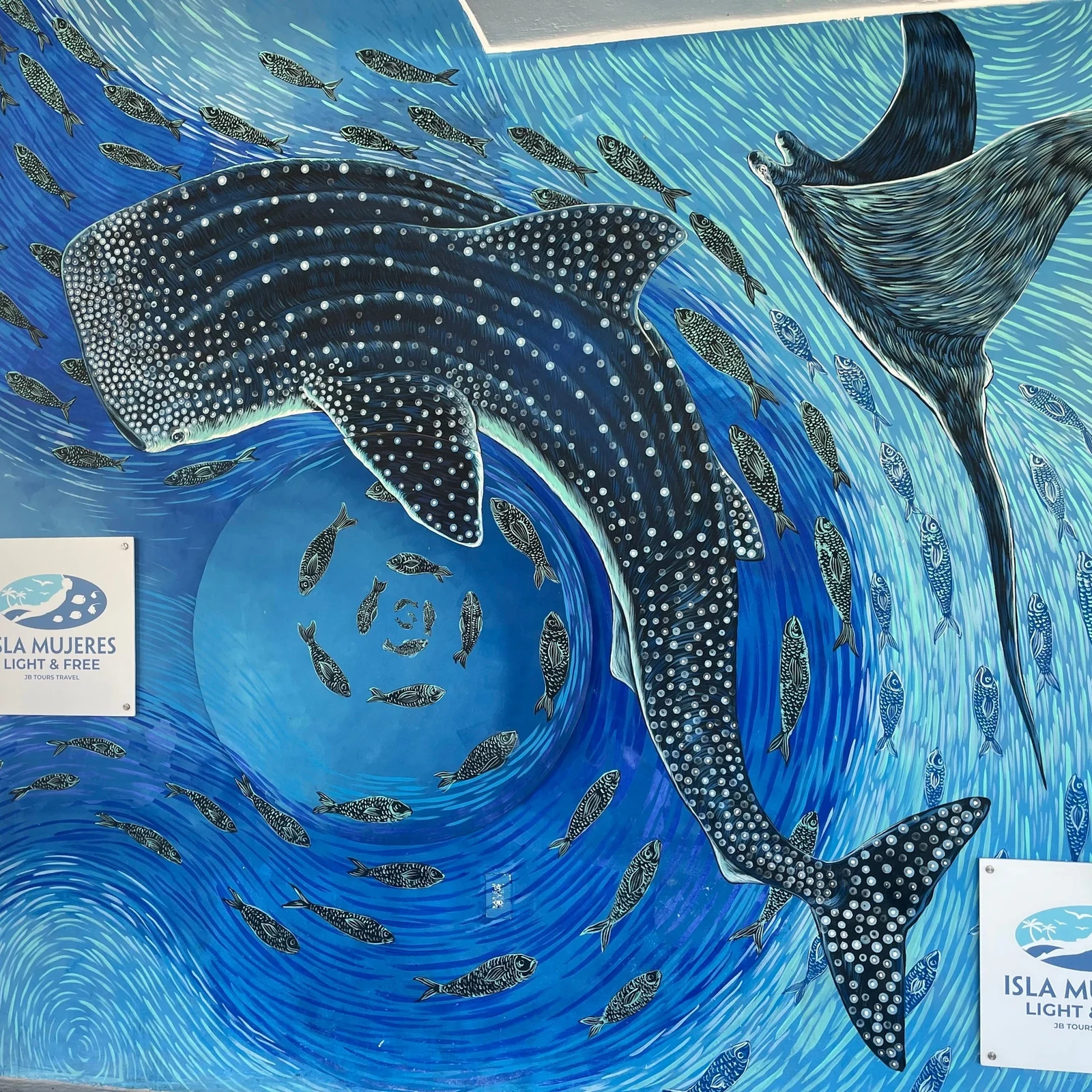 Nager avec les requins-baleines à Cancún et Isla Mujeres