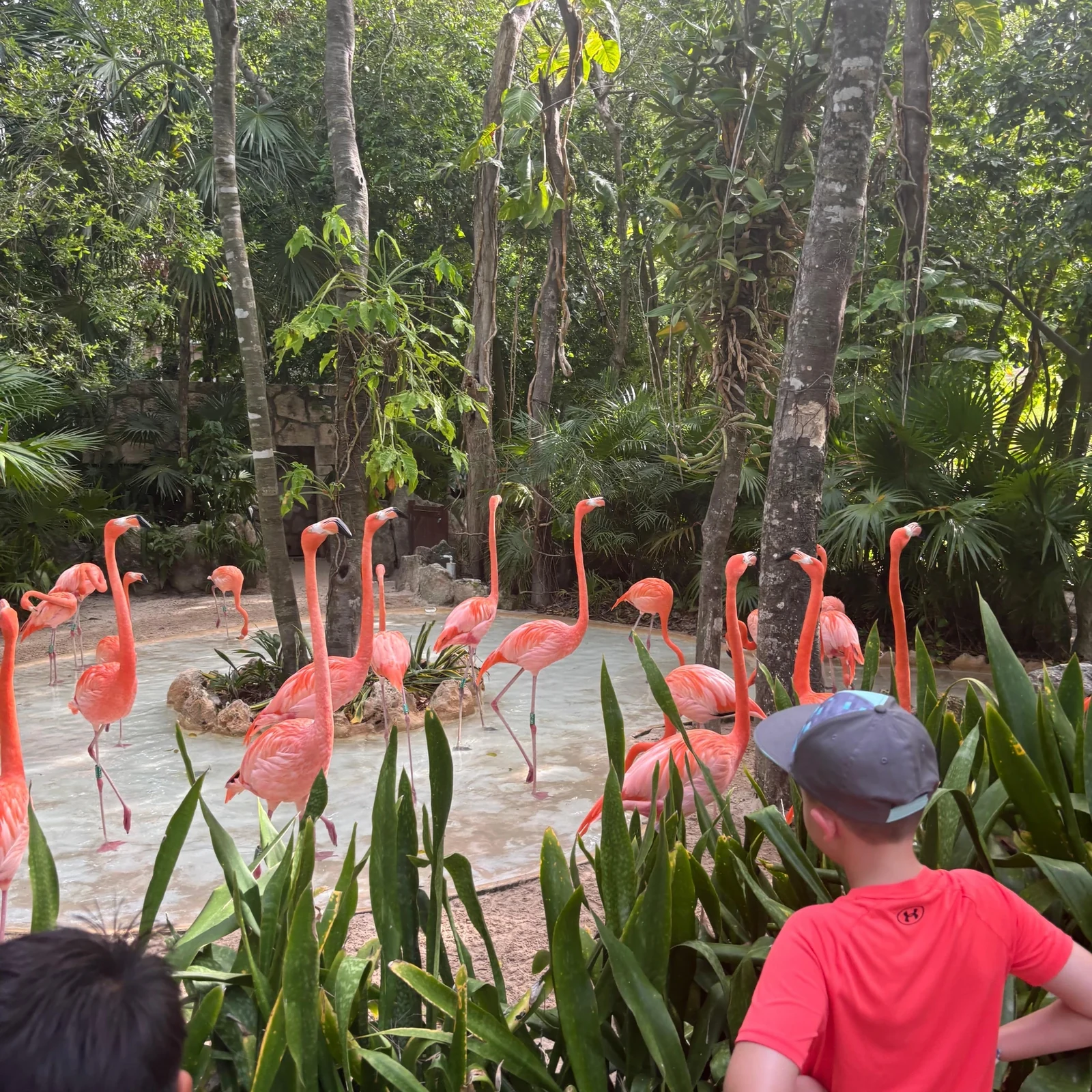 Xcaret Park ab Cancún: Natur, Kultur und über 50 Attraktionen