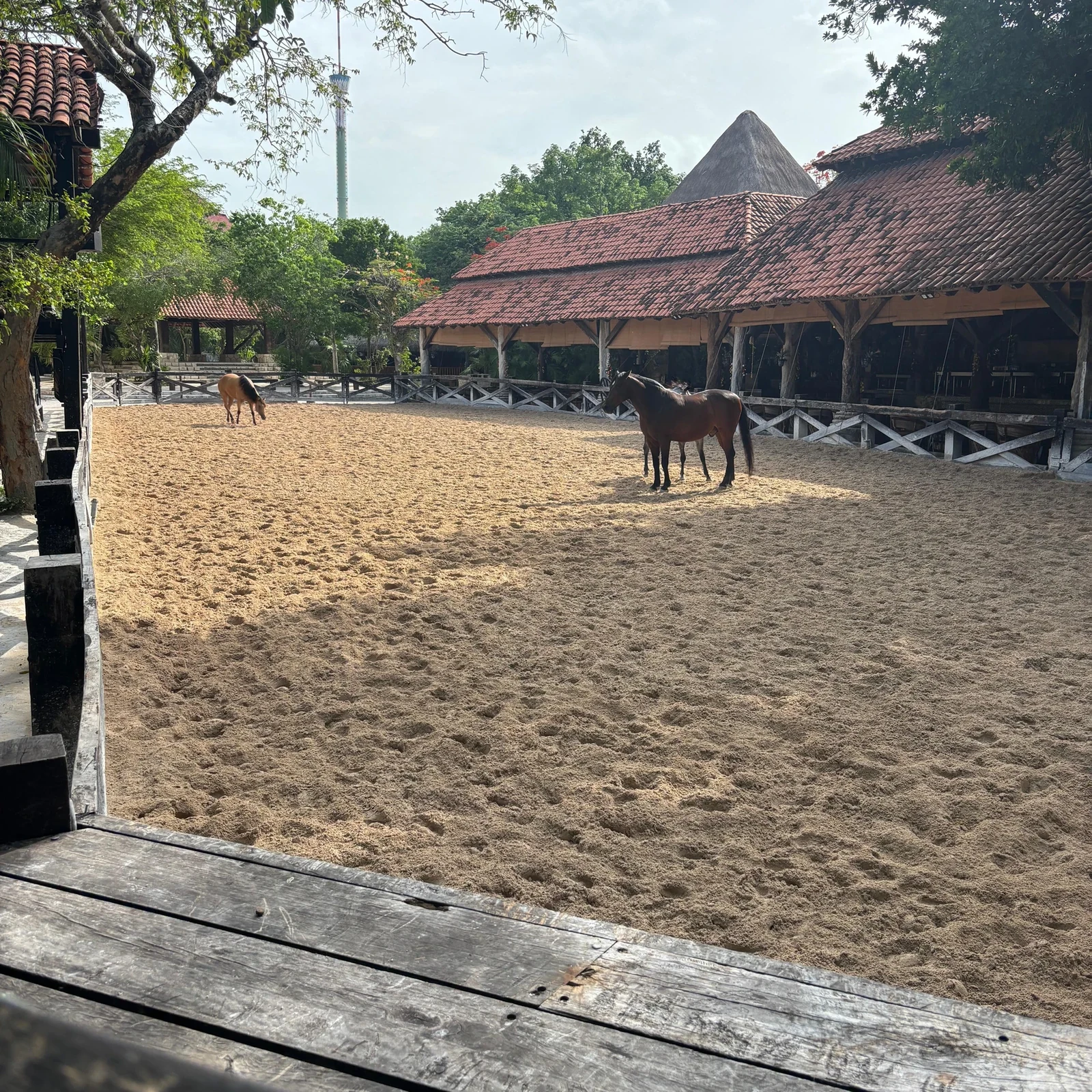 Xcaret Park ab Cancún: Natur, Kultur und über 50 Attraktionen