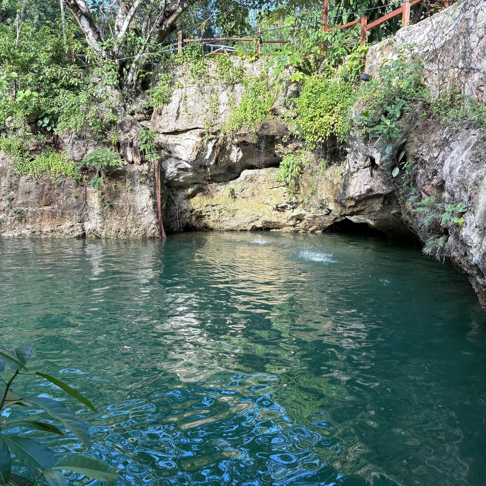 Cenoten-Tour ab Cancún: Drei Cenoten, Abenteuer und Tequila