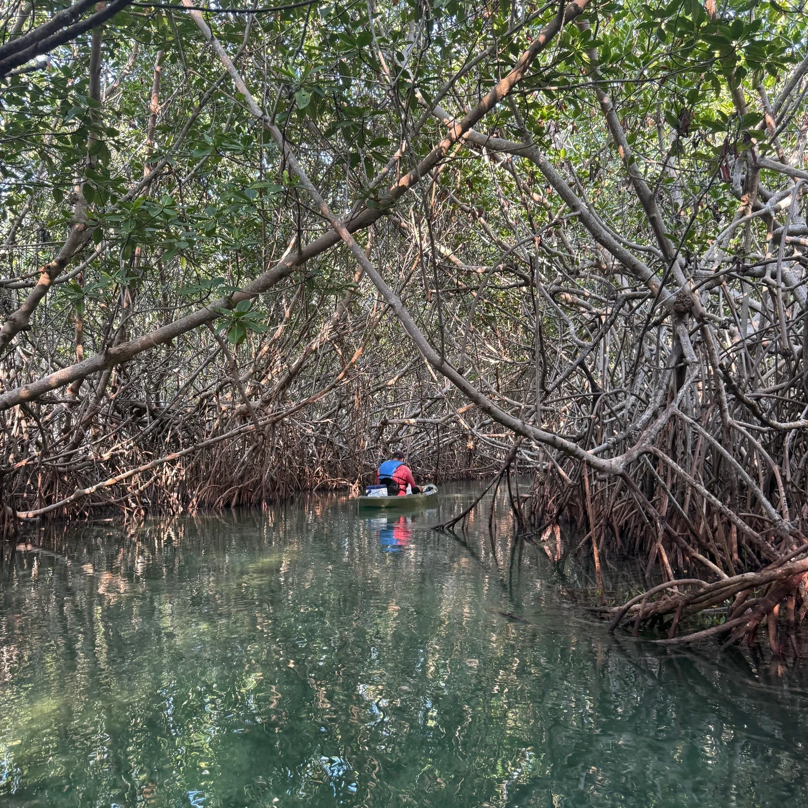 Kajaktour durch die Nichupté-Lagune in Cancún