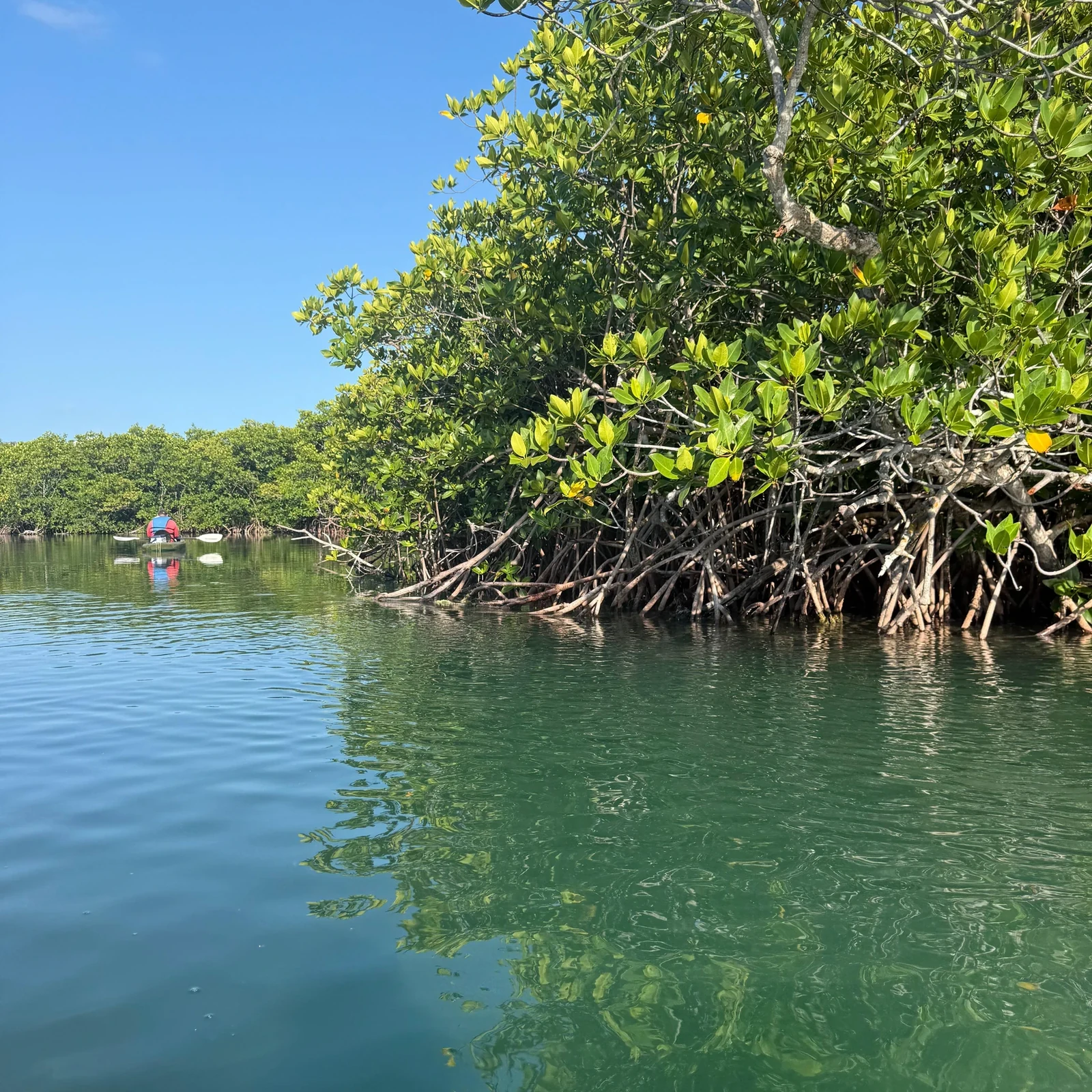 Kajaktour durch die Nichupté-Lagune in Cancún